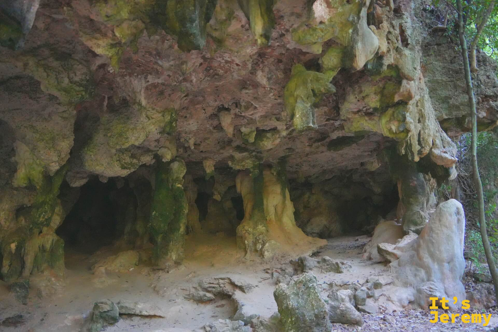 石灰岩洞窟外壁的近景,苔蘚與礦物讓岩面呈現棕黃和深綠的色調