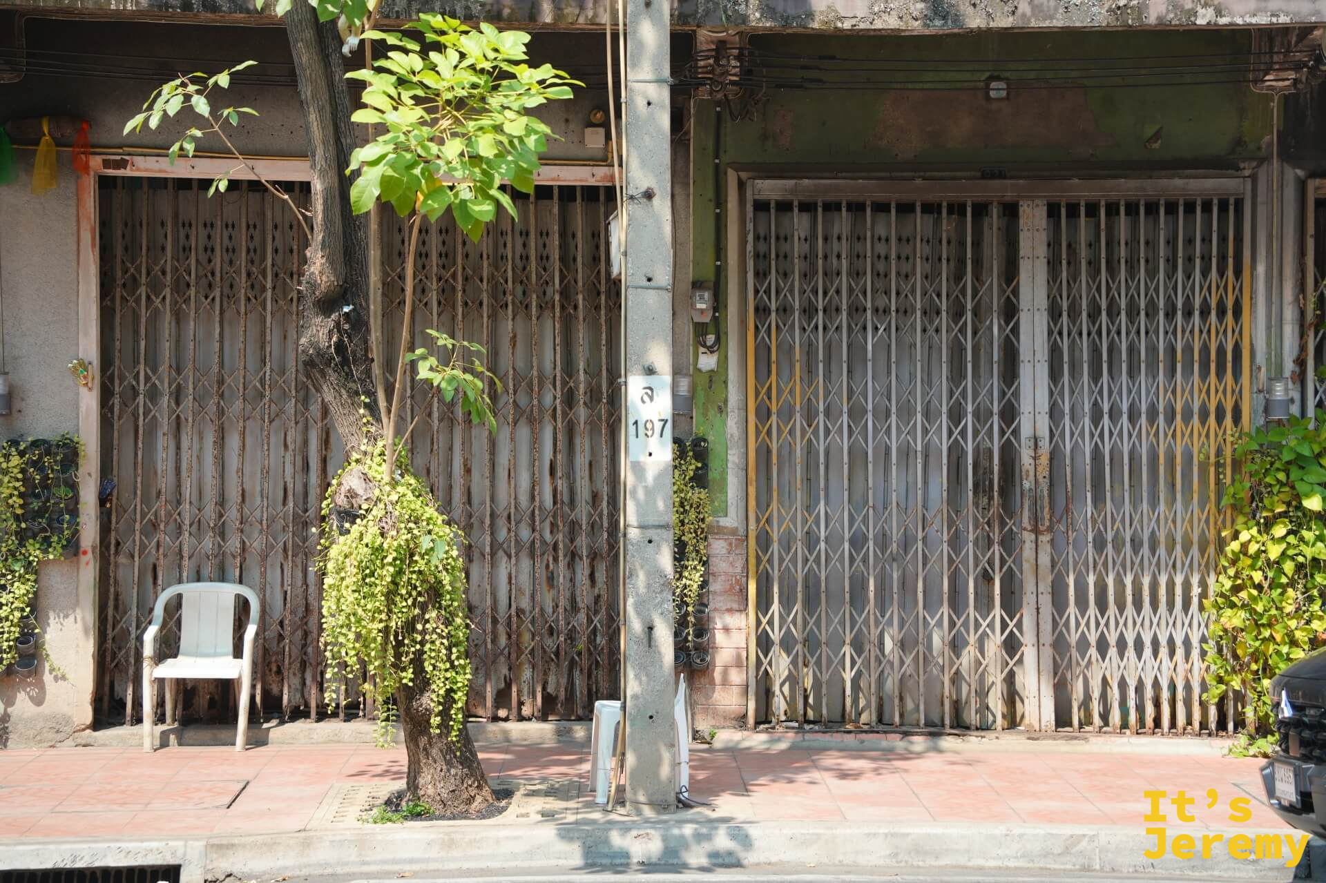 排排老店屋拉下金屬摺疊門,角落有白色塑膠椅和爬滿藤蔓的電線桿