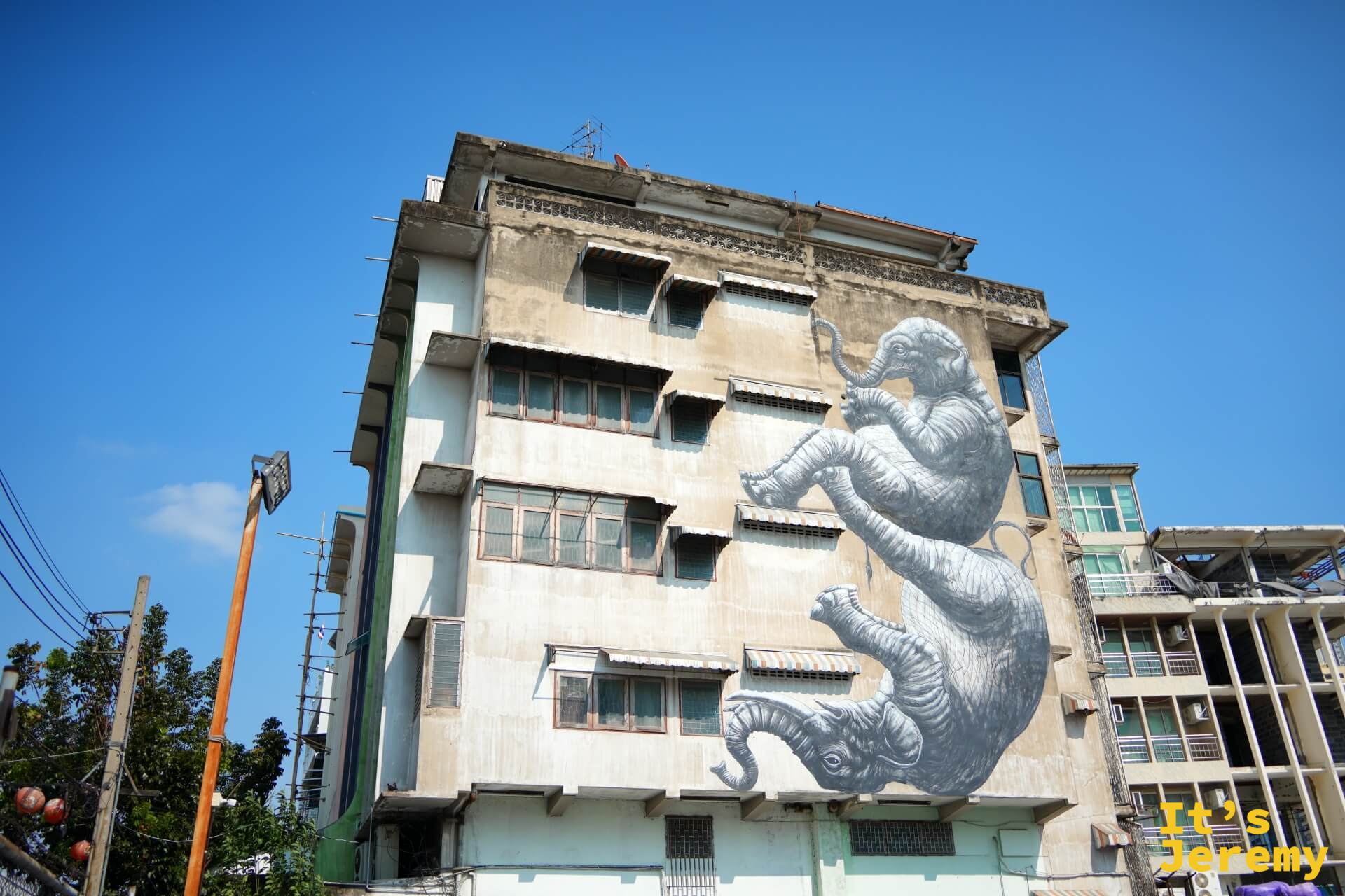 建築側面壁畫:ROA 風格的灰色大象群像,多頭交疊,藍天清晰