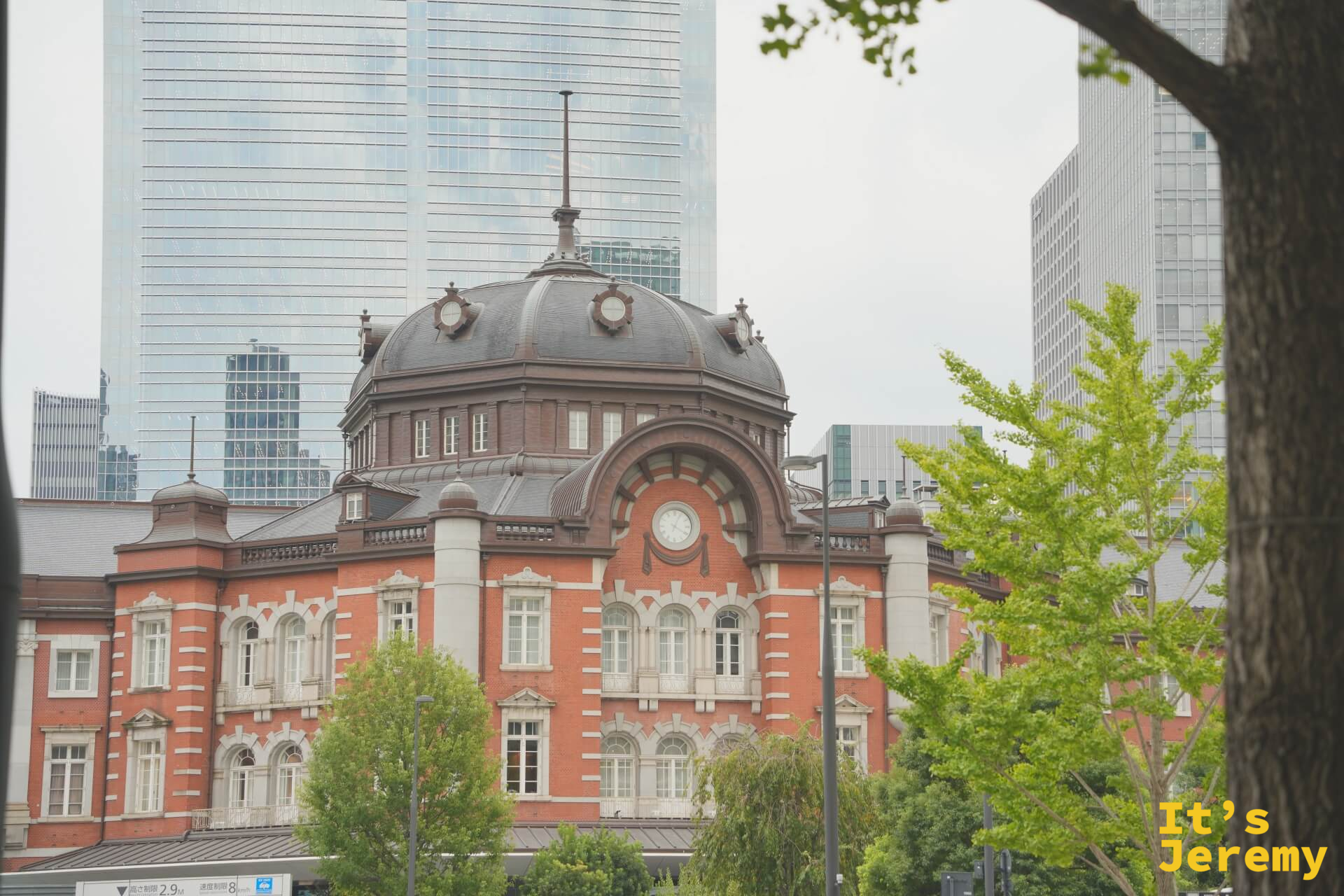 樹葉縫隙間的東京車站圓頂特寫,磚紅與石板灰的對比清晰可見