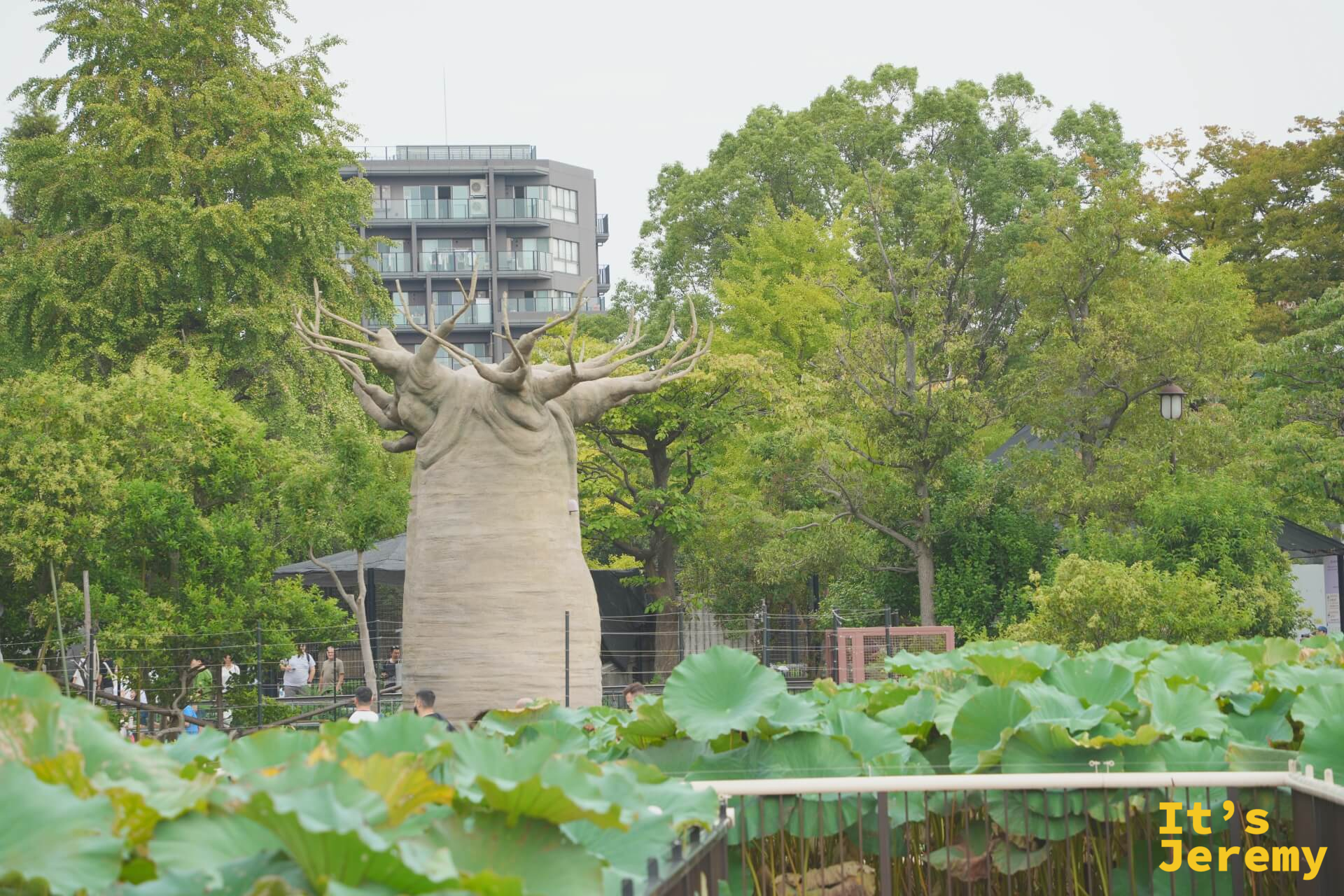 不忍池旁的巴奧巴樹造型雕塑,前景是大片蓮葉