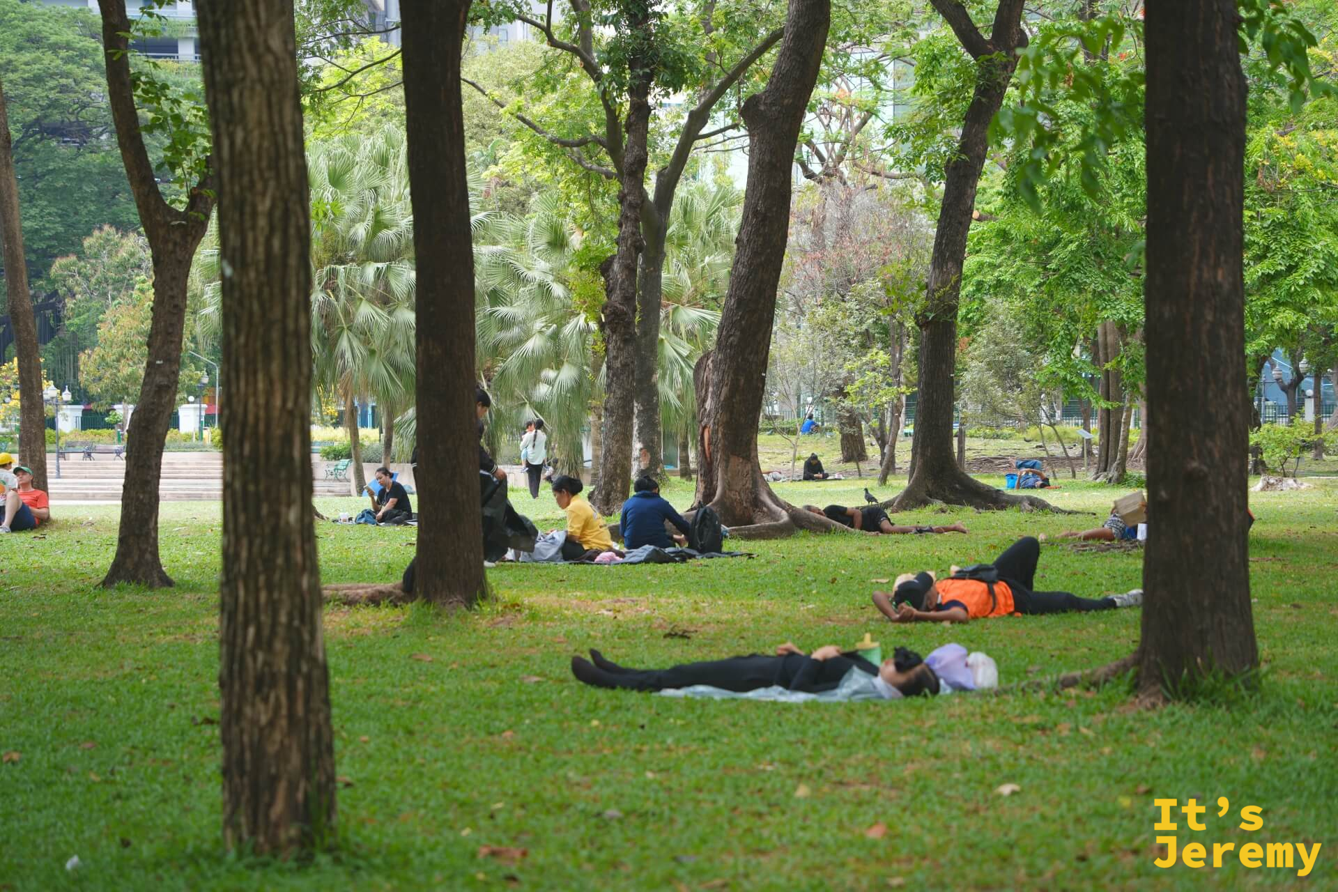班哲希利公園草地,多人在樹蔭下躺著休息