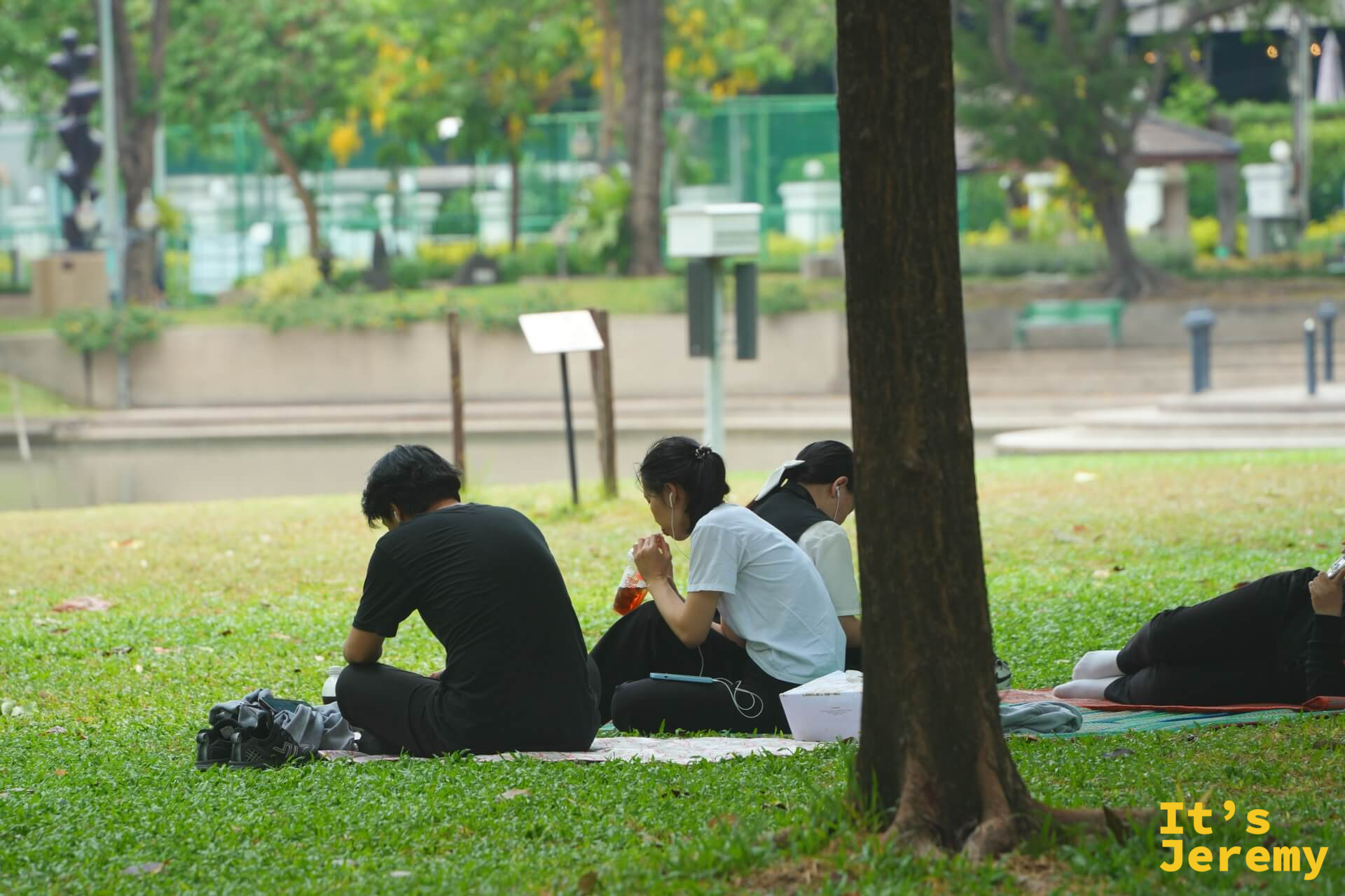 班哲希利公園,三人背對鏡頭在大樹下草地坐著,旁邊放著外帶食物和飲料