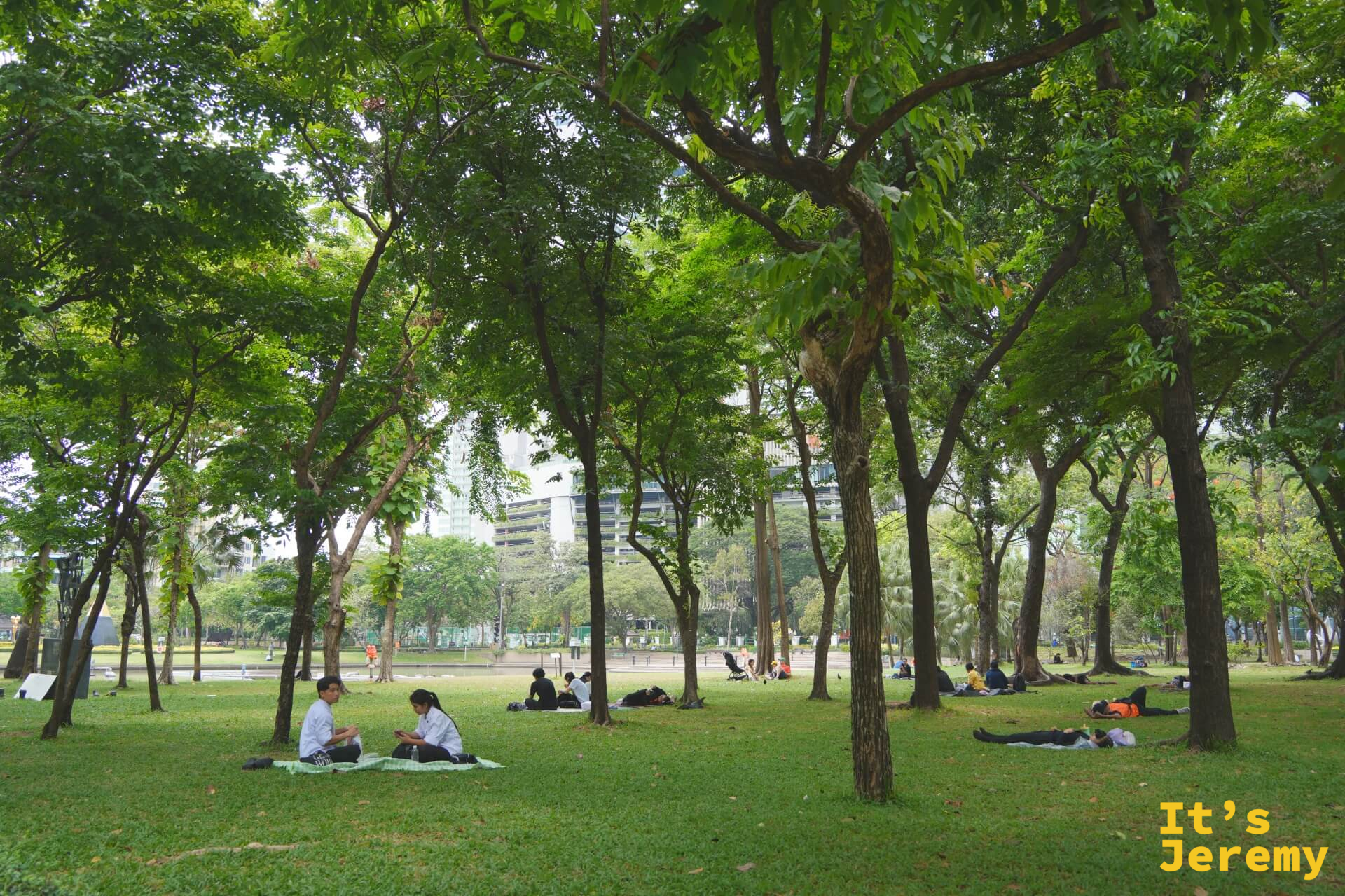 班哲希利公園大片草地與高大樹木,多人席地而坐或躺著休息,背景可見城市高樓