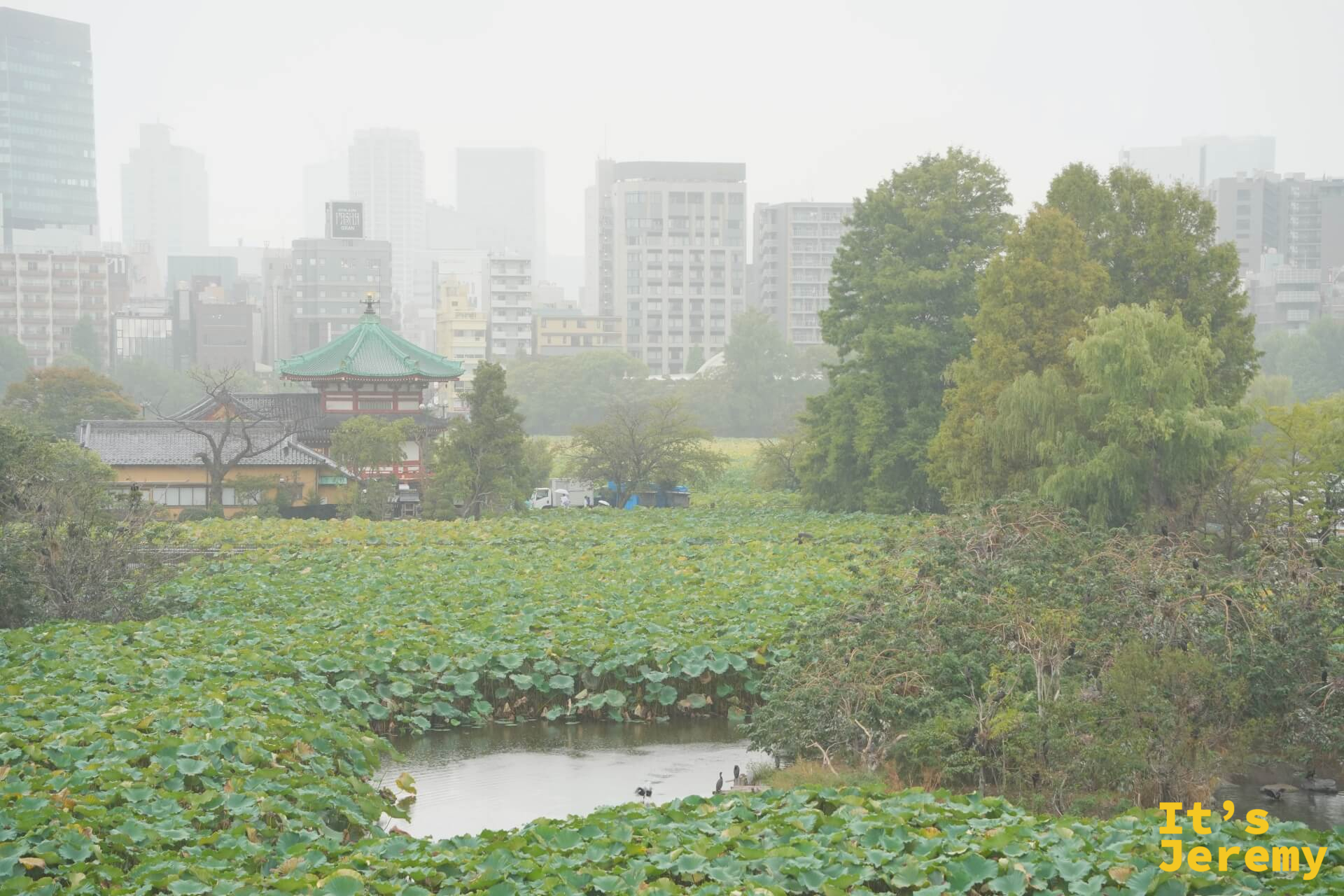 大雨中的不忍池全景,辯天堂在雨霧中若隱若現,城市天際線消失在雨幕之後