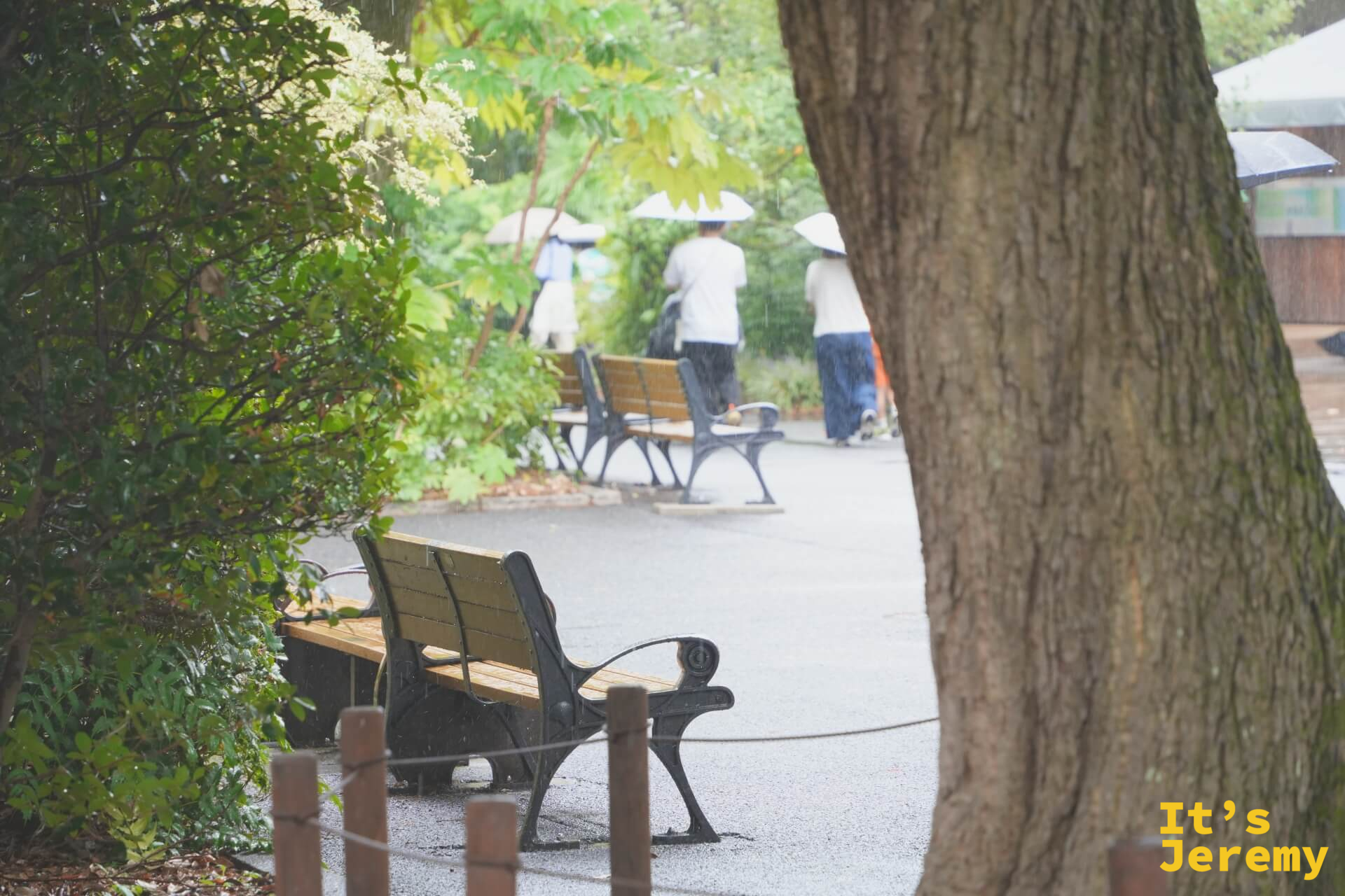 大雨中的動物園園路,遊客撐傘繼續前行,長椅上已有積水