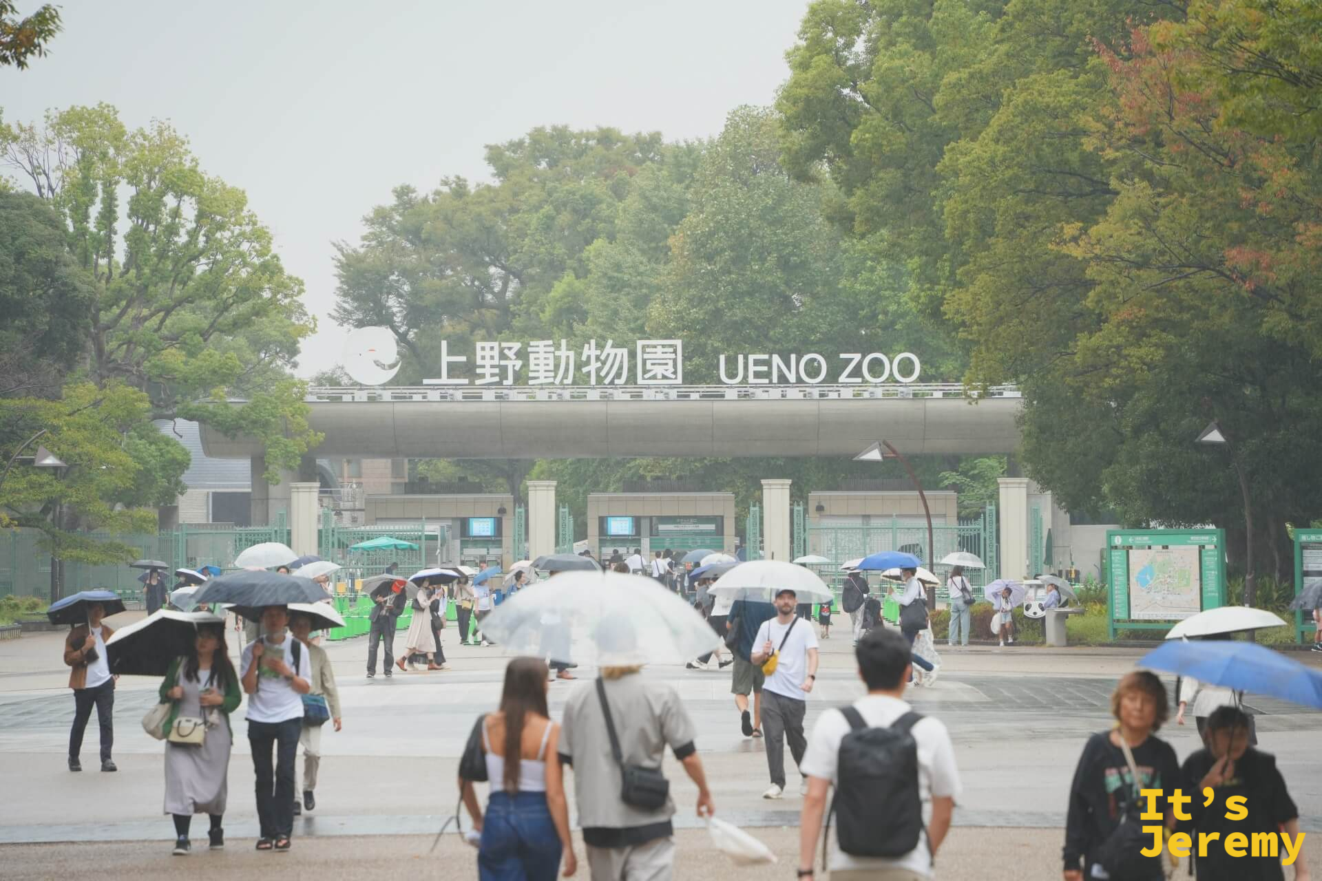 大雨中的上野動物園正門,傘的海洋,沒有人因此少來一個
