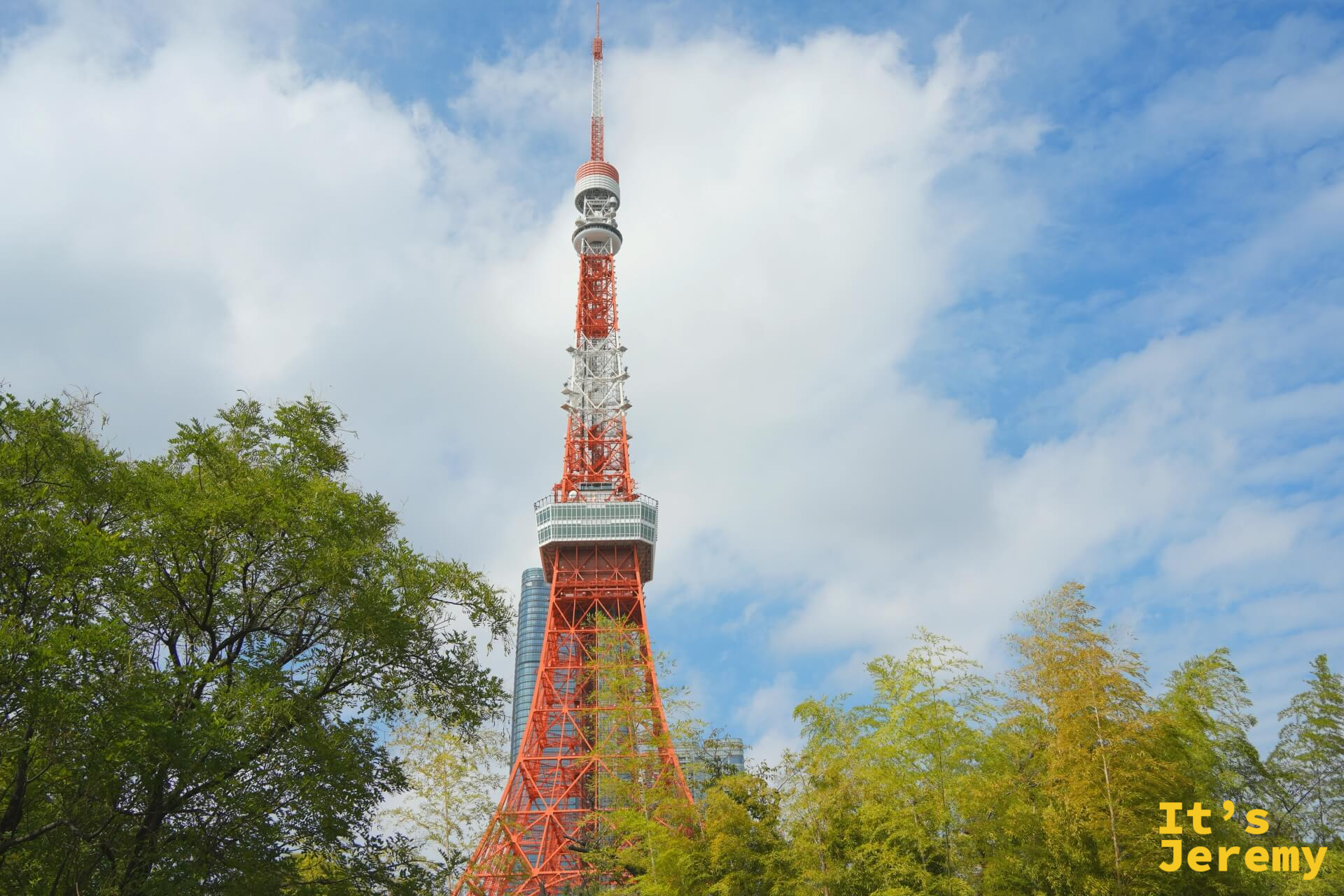從芝公園內仰望東京鐵塔，綠樹將鐵塔局部圍起，橘紅的格架從樹梢之間拔地而起，雲朵在藍天間緩緩流動