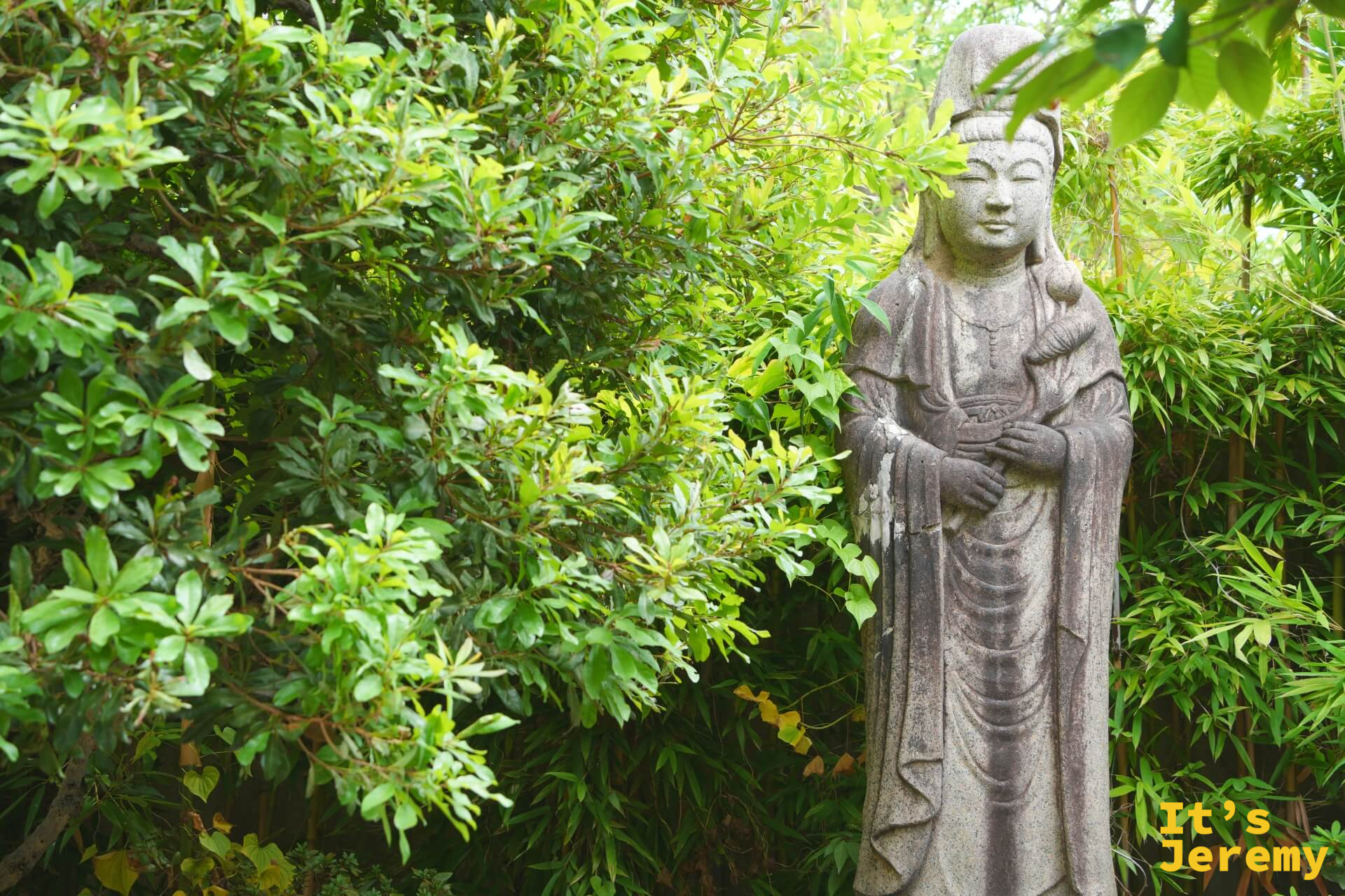 被翠綠植物叢圍繞的石雕菩薩像,石色已深灰,神情靜穆