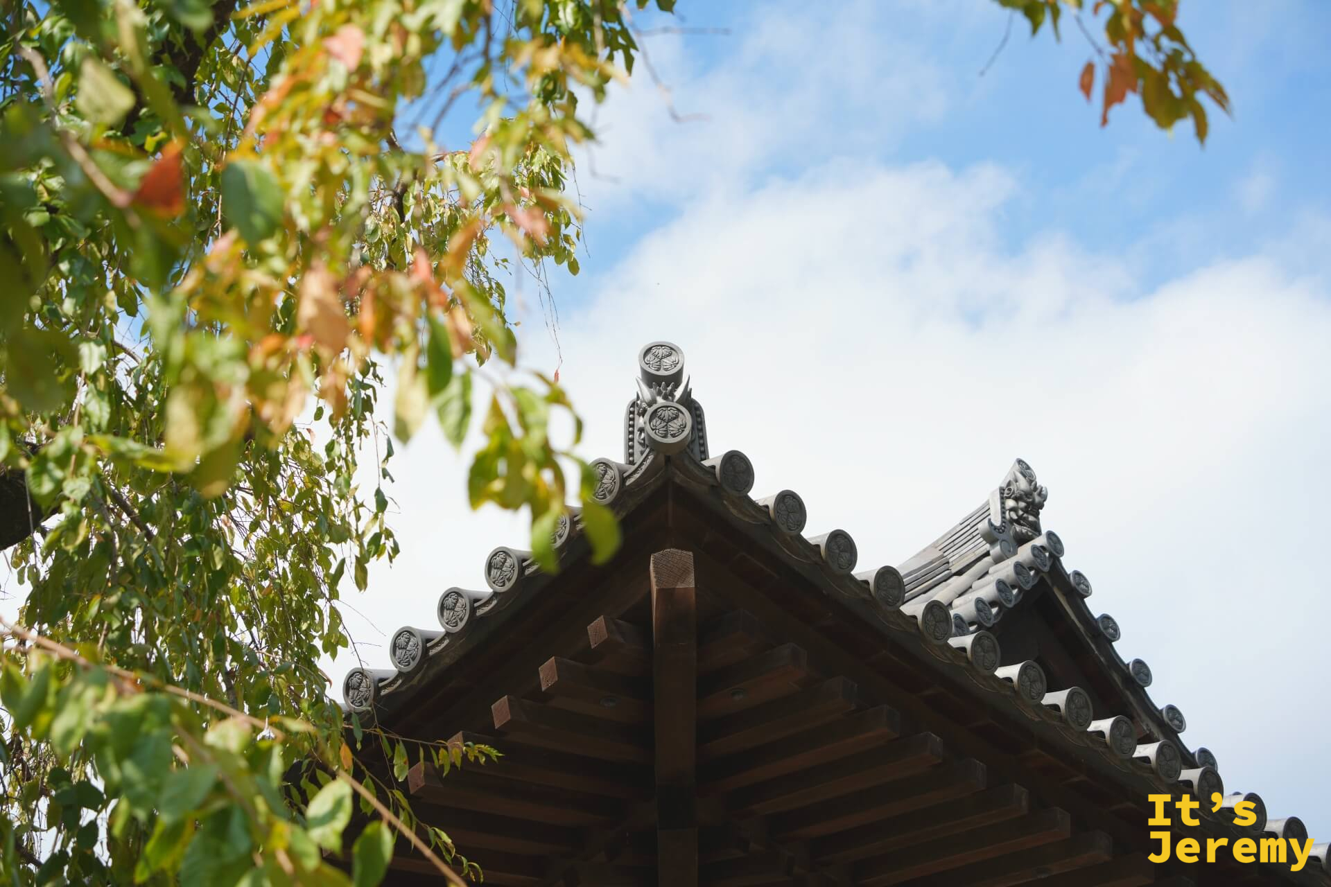 殿堂屋簷特寫,前景有秋日橙黃色葉片,筒瓦紋路清晰