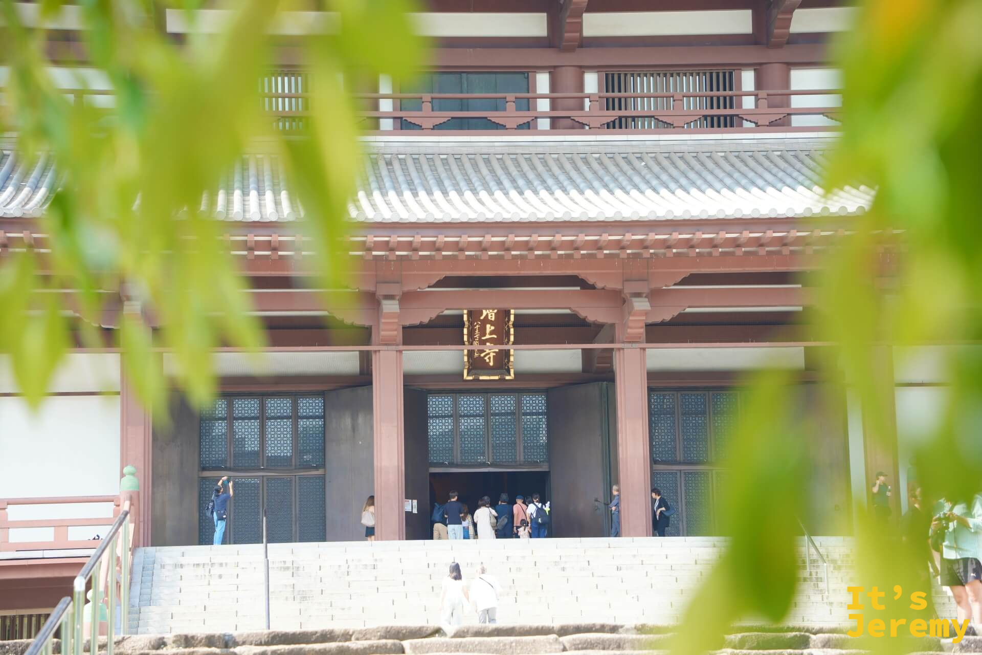 透過柳樹枝葉的縫隙,遠遠望向増上寺大殿正面入口與台階