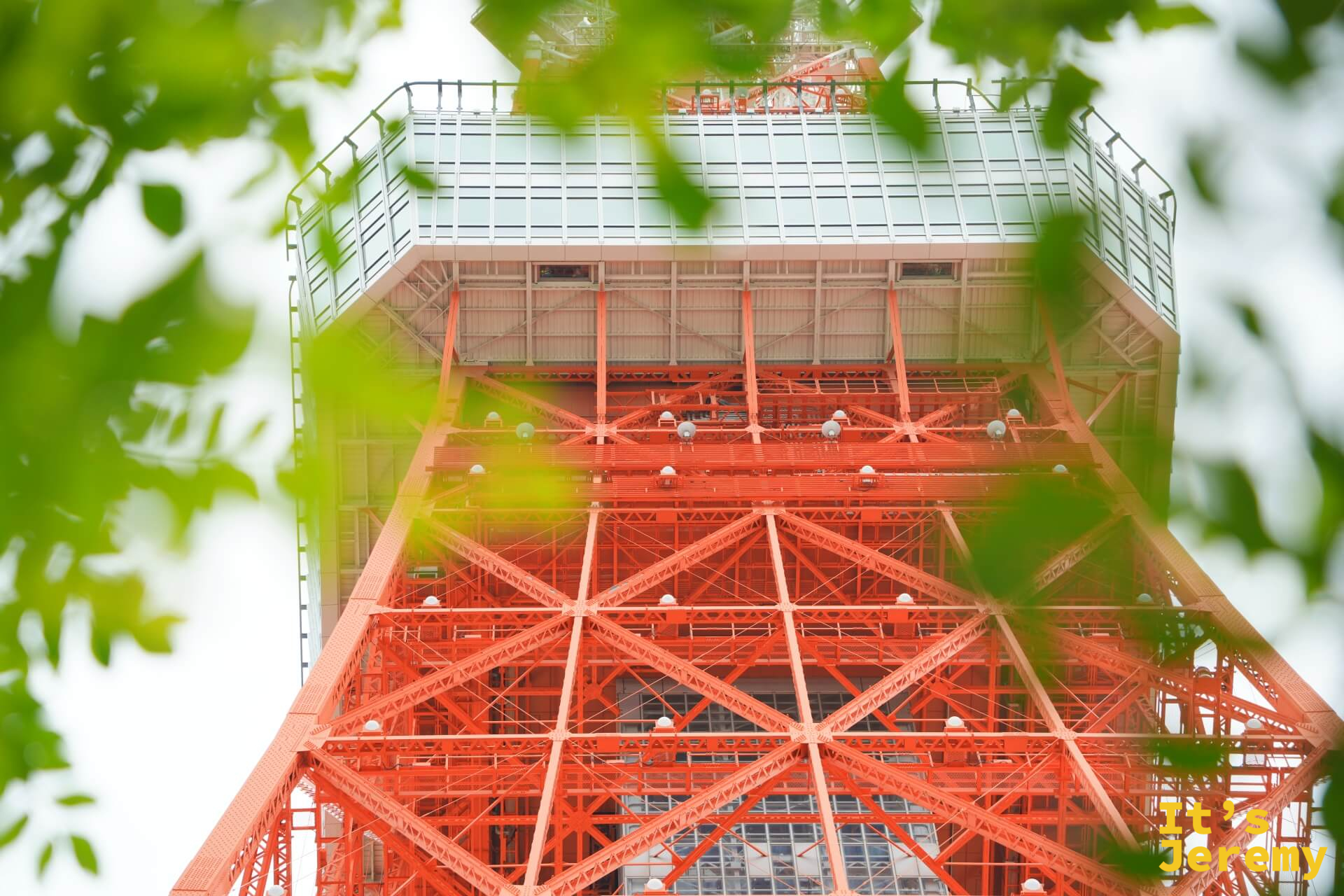 透過芝公園的樹葉縫隙望向東京鐵塔的大展望台，綠葉虛化成前景，大展望台的玻璃格與橘紅鋼骨在中段清晰入鏡