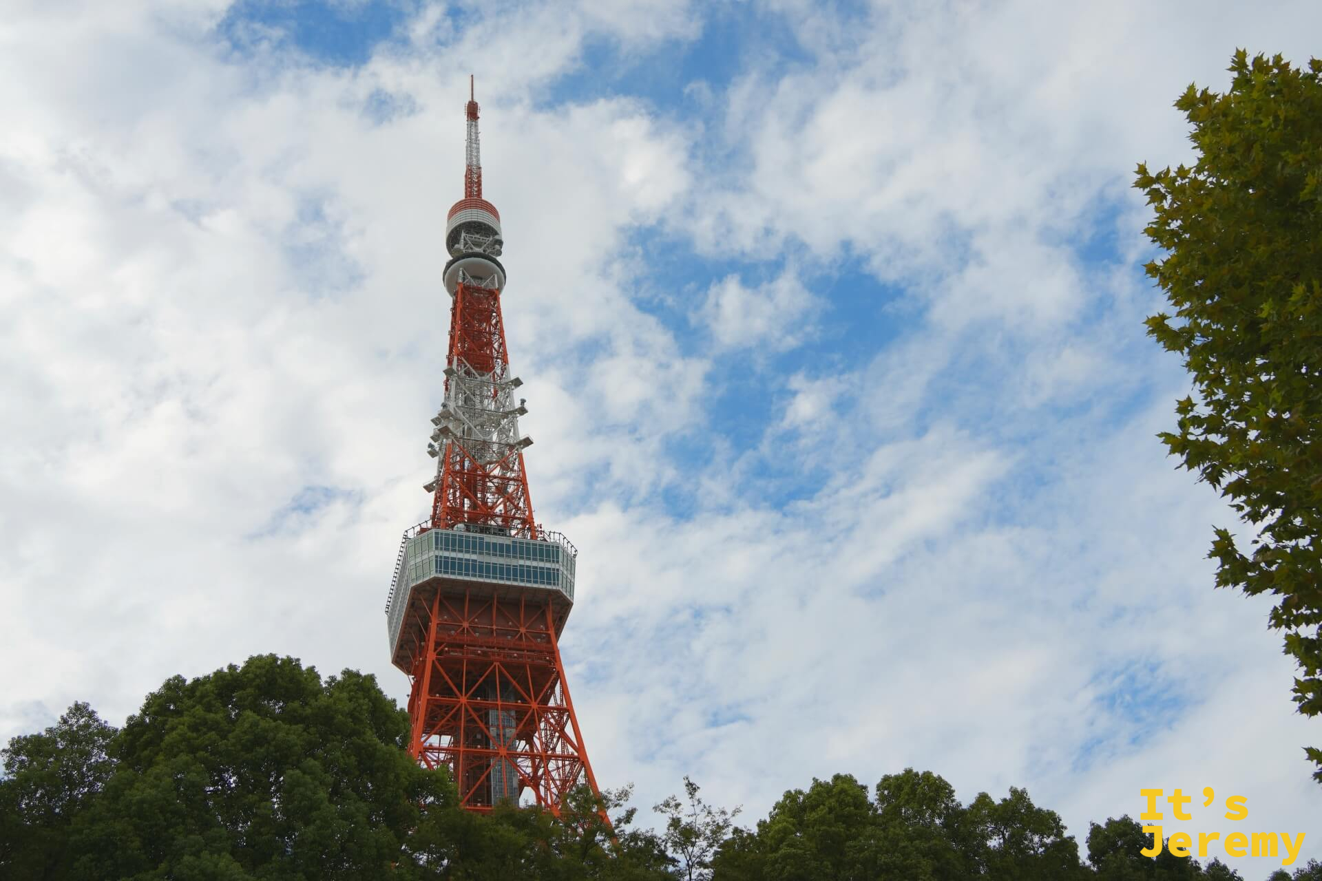 從芝公園另一角度望向東京鐵塔全景，茂密的深綠樹木將鐵塔兩側包圍，大展望台在鐵塔中段清晰可見，藍天與雲朵構成寬闊的背景