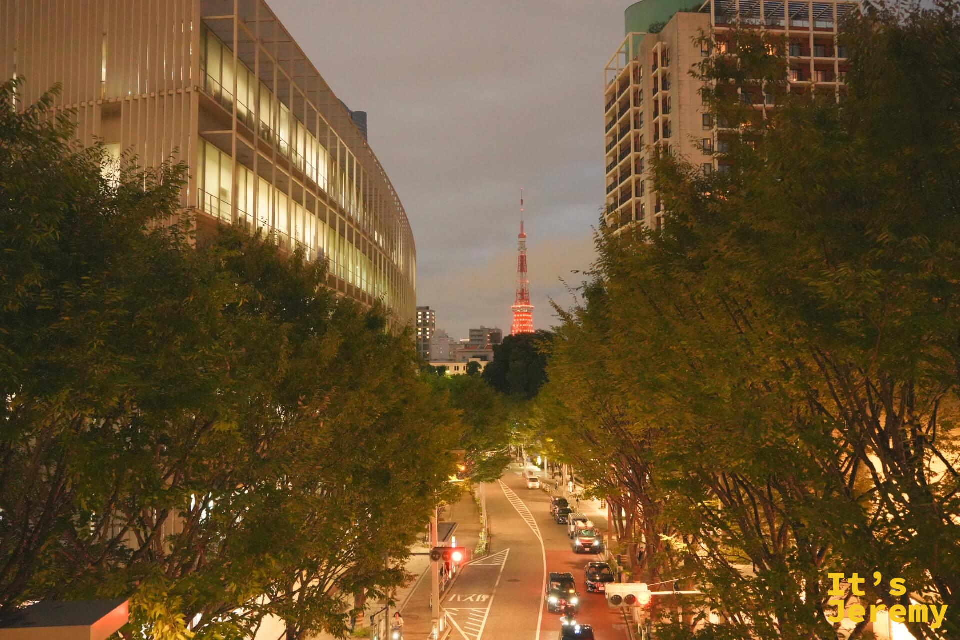 麻布台之丘附近的街道夜景,兩排行道樹之間,街道盡頭隱約可見東京鐵塔橘紅色的下半段