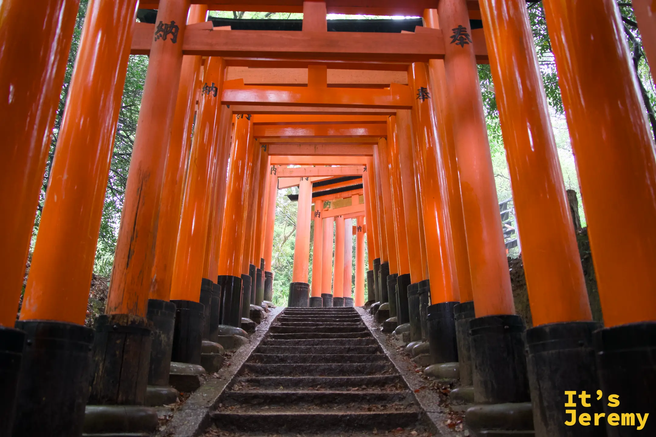 石階版千本鳥居，從低角度仰望，鳥居一路延伸到山上
