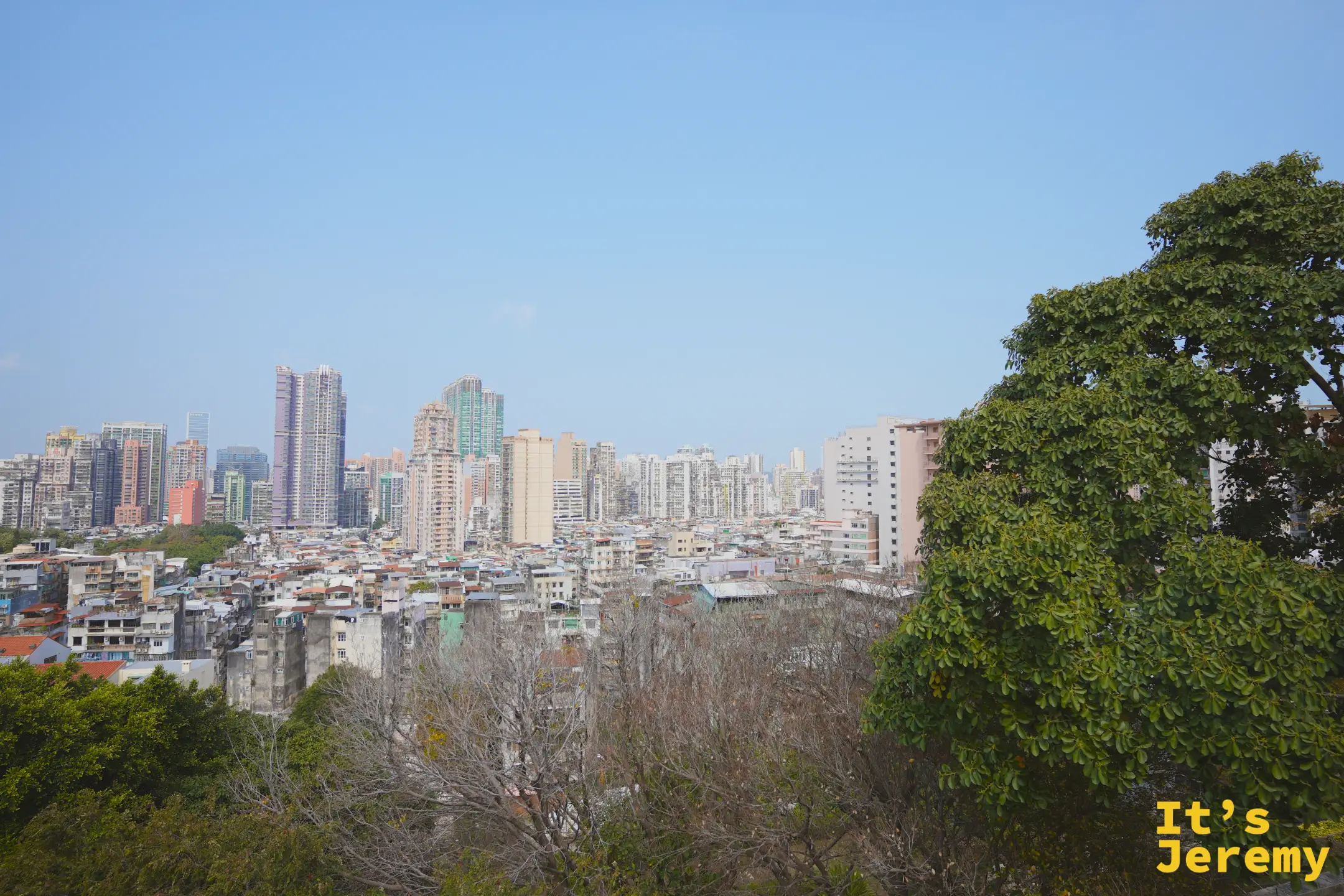從大炮台俯瞰澳門密集的住宅高樓群，藍天下右側有一棵大樹