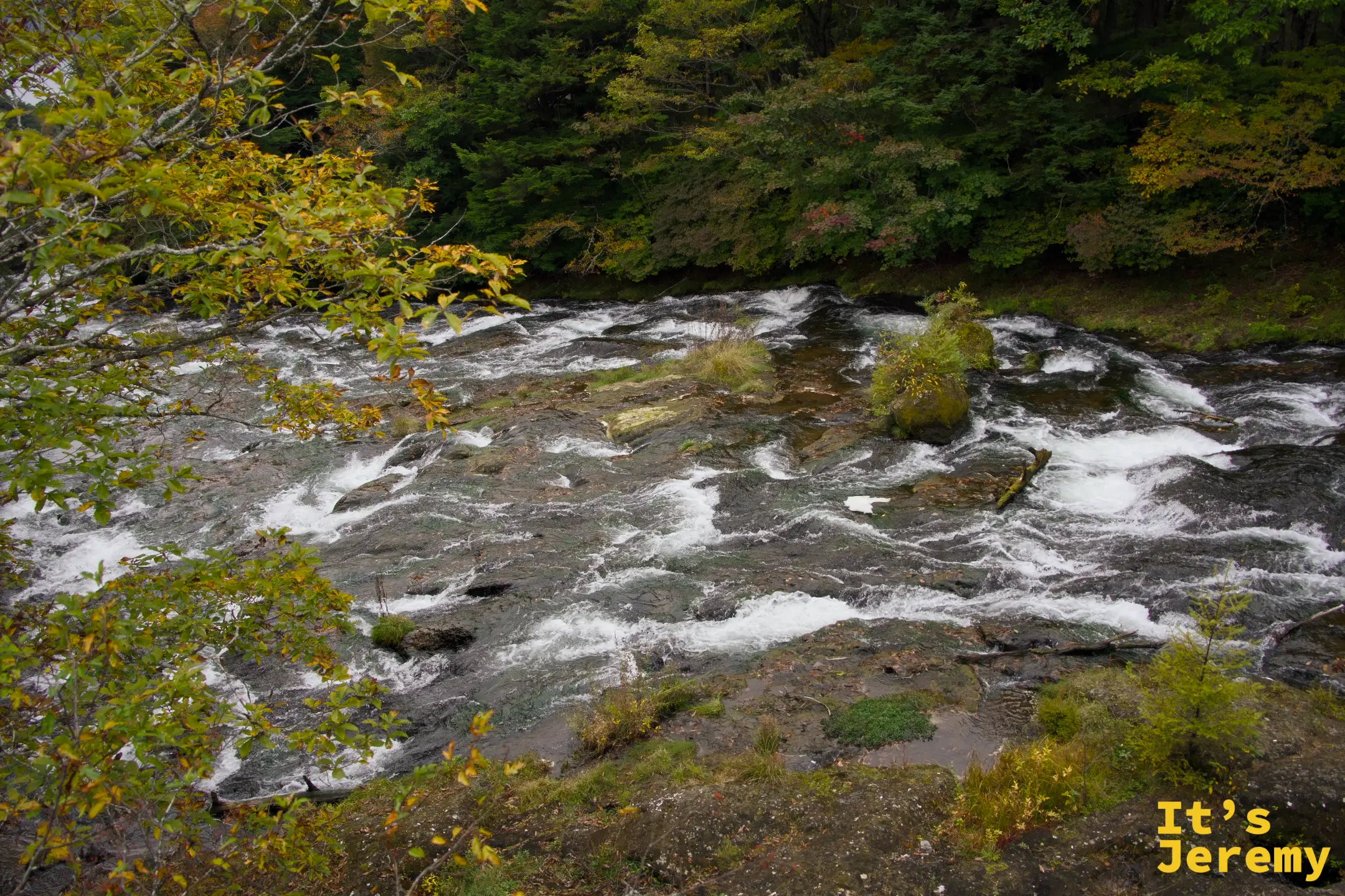龍頭瀑布上游的急流，水在亂石間湍急流動，兩岸秋色樹木包圍