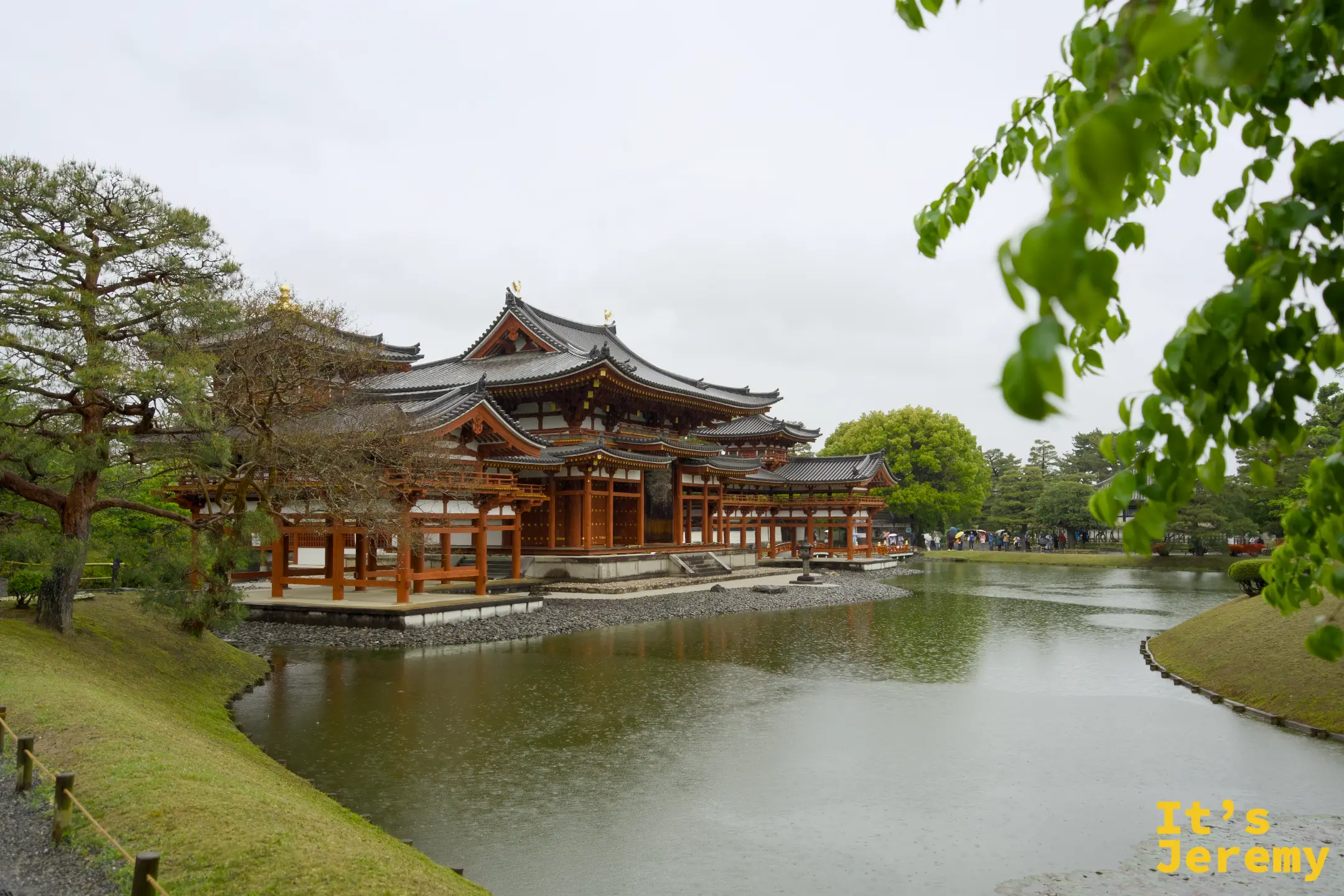 從右後側望向鳳凰堂，樹葉自然框住建築，形成有縱深的層次感