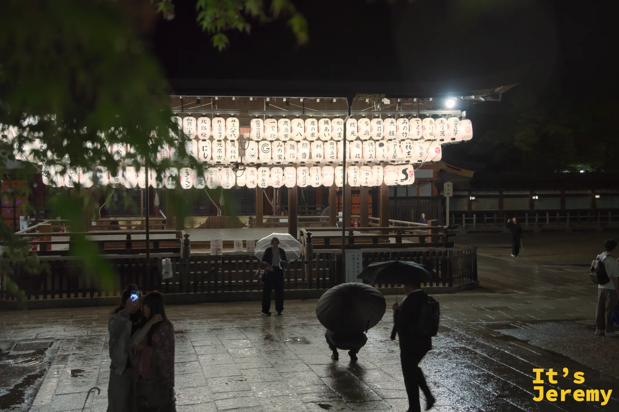 透過樹葉前景拍舞殿燈籠，雨夜霧氣讓畫面更有層次