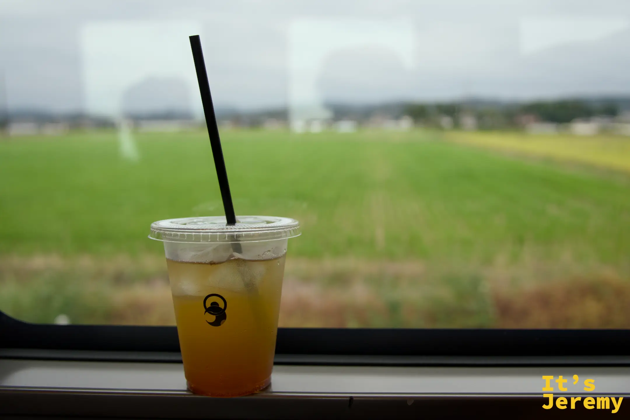 ニッコーラ飲料杯放在 SPACIA X 六角形車窗旁，窗外是大片綠色田野平原