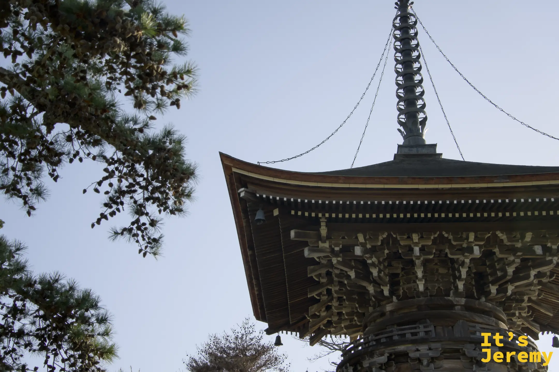 智恩寺多宝塔の屋根を仰いだアップ