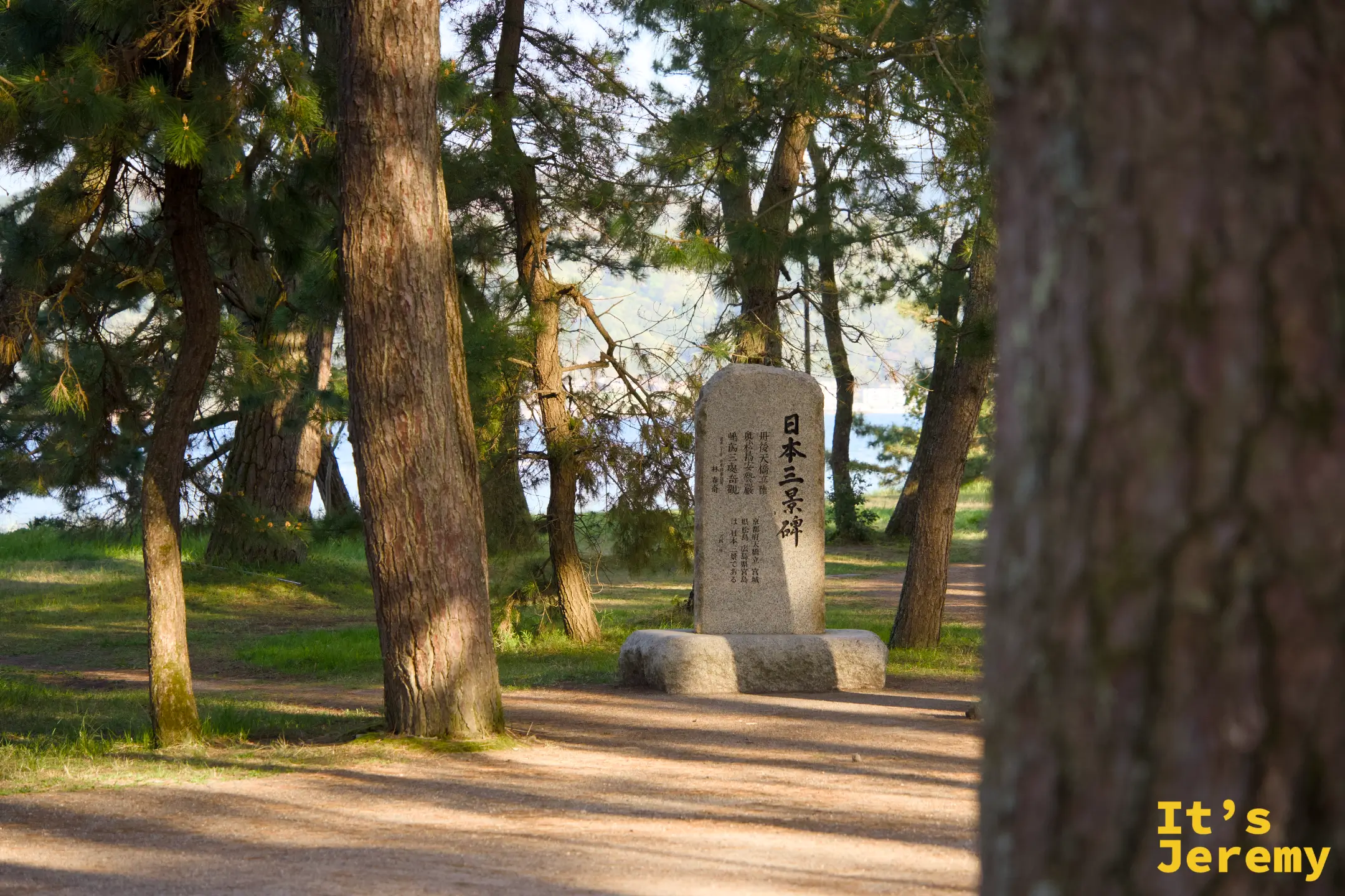 天橋立の「日本三景碑」が松林の中に立つ
