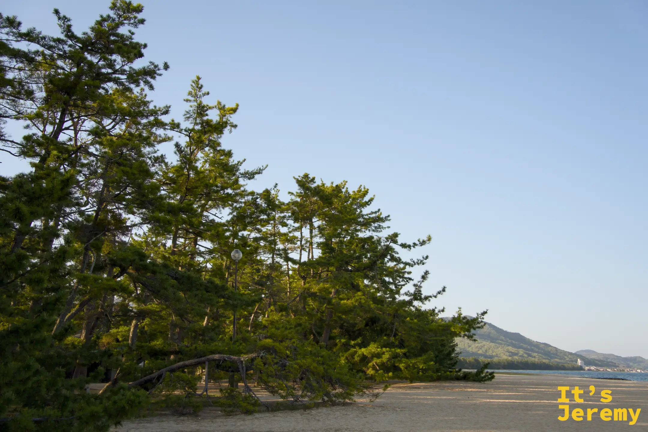砂洲の端、白い砂浜と松の木、対岸の山