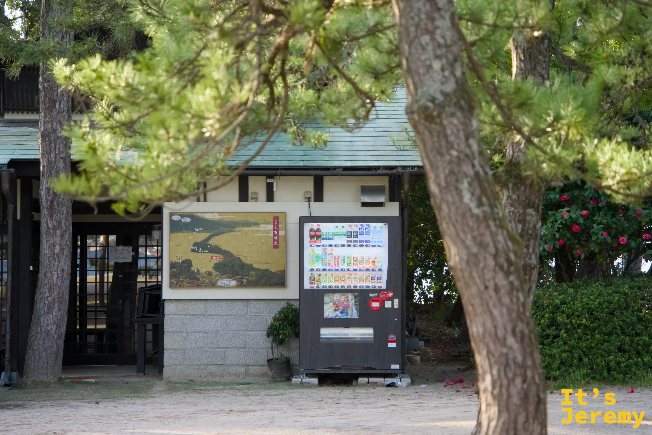 松林の中の沙洲路と灯台標識、自動販売機