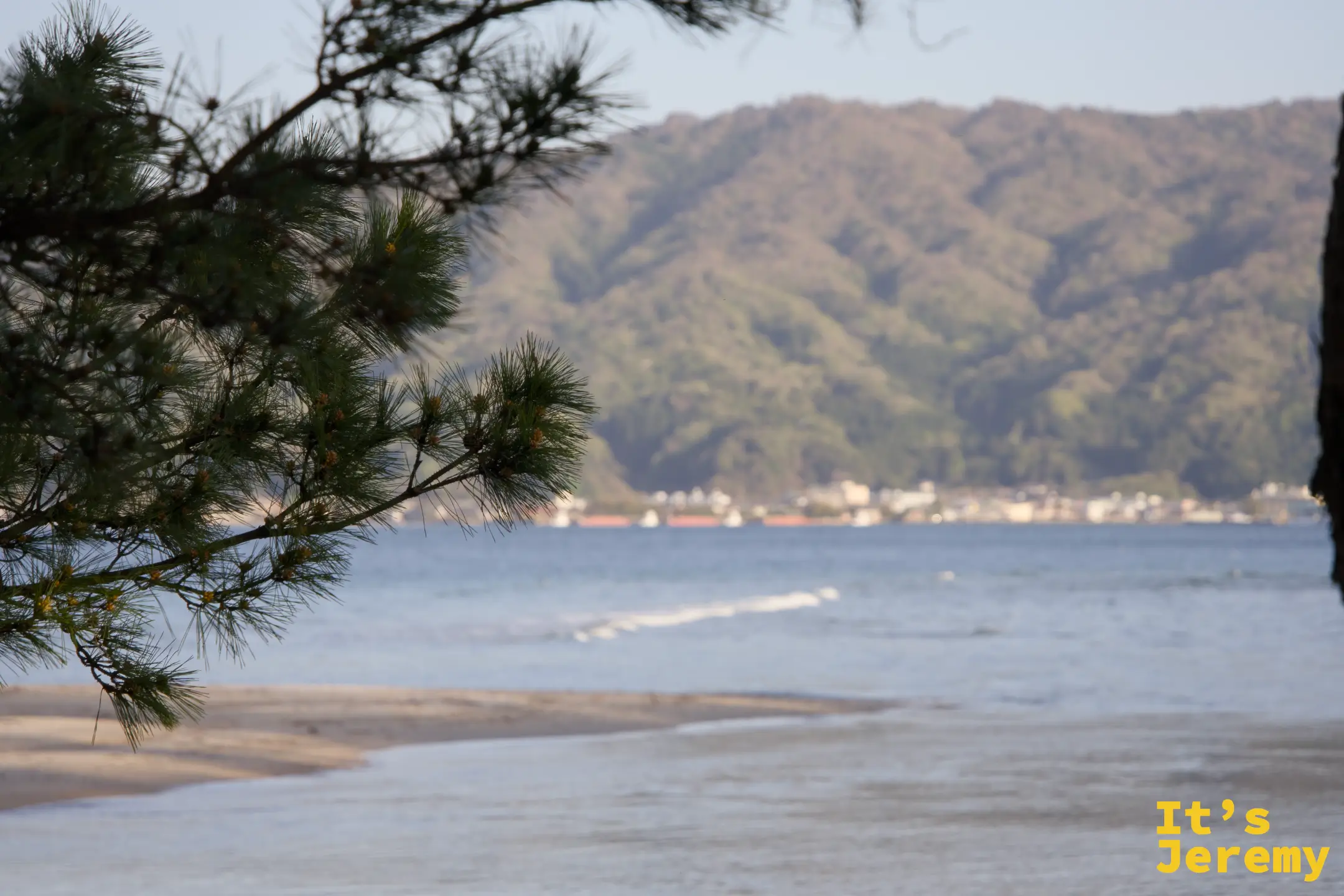 松の枝を前景に、宮津湾と対岸の山村