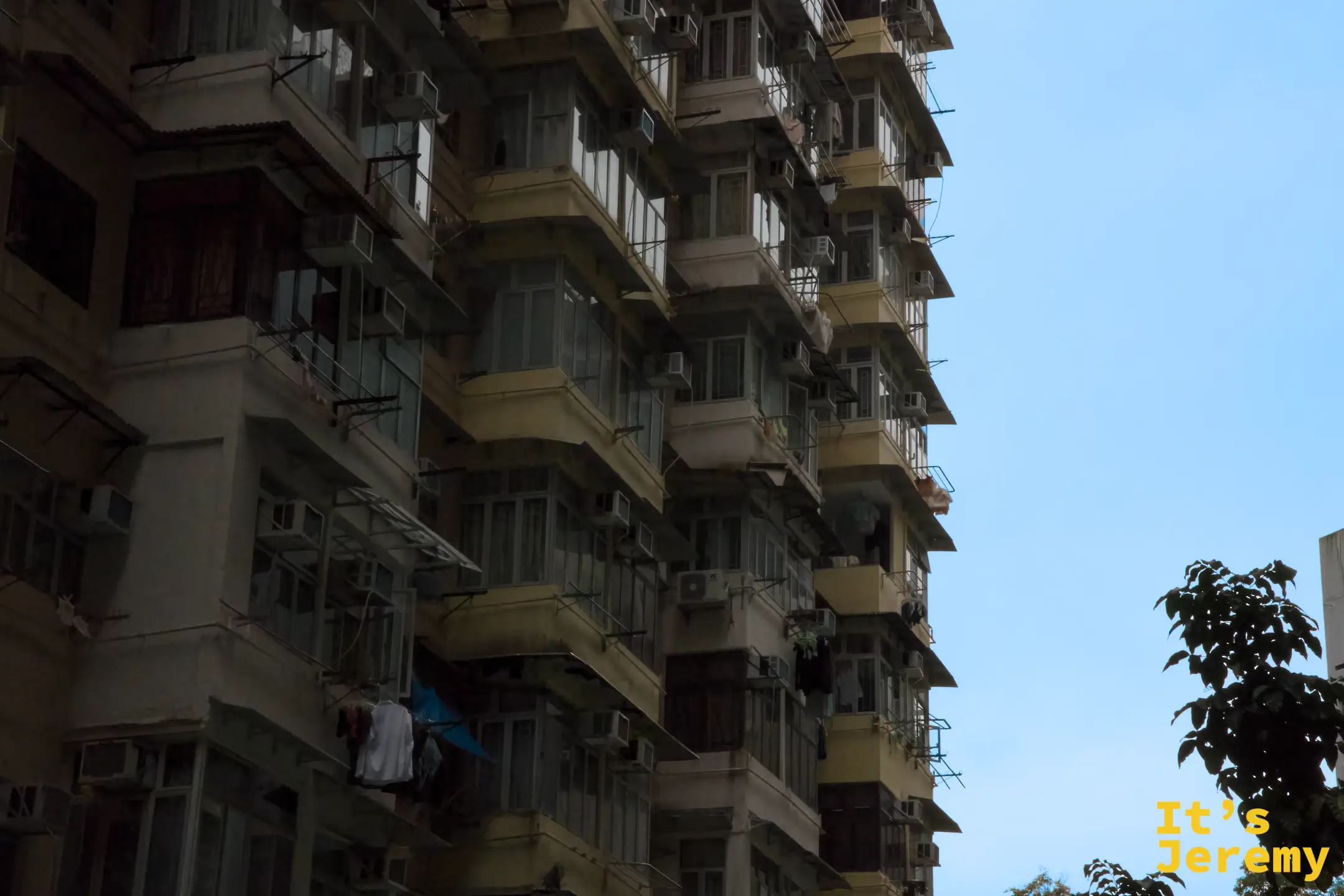 從外側仰望大廈立面，黃綠色外牆的封閉式陽台一層層疊高，右側有棵樹