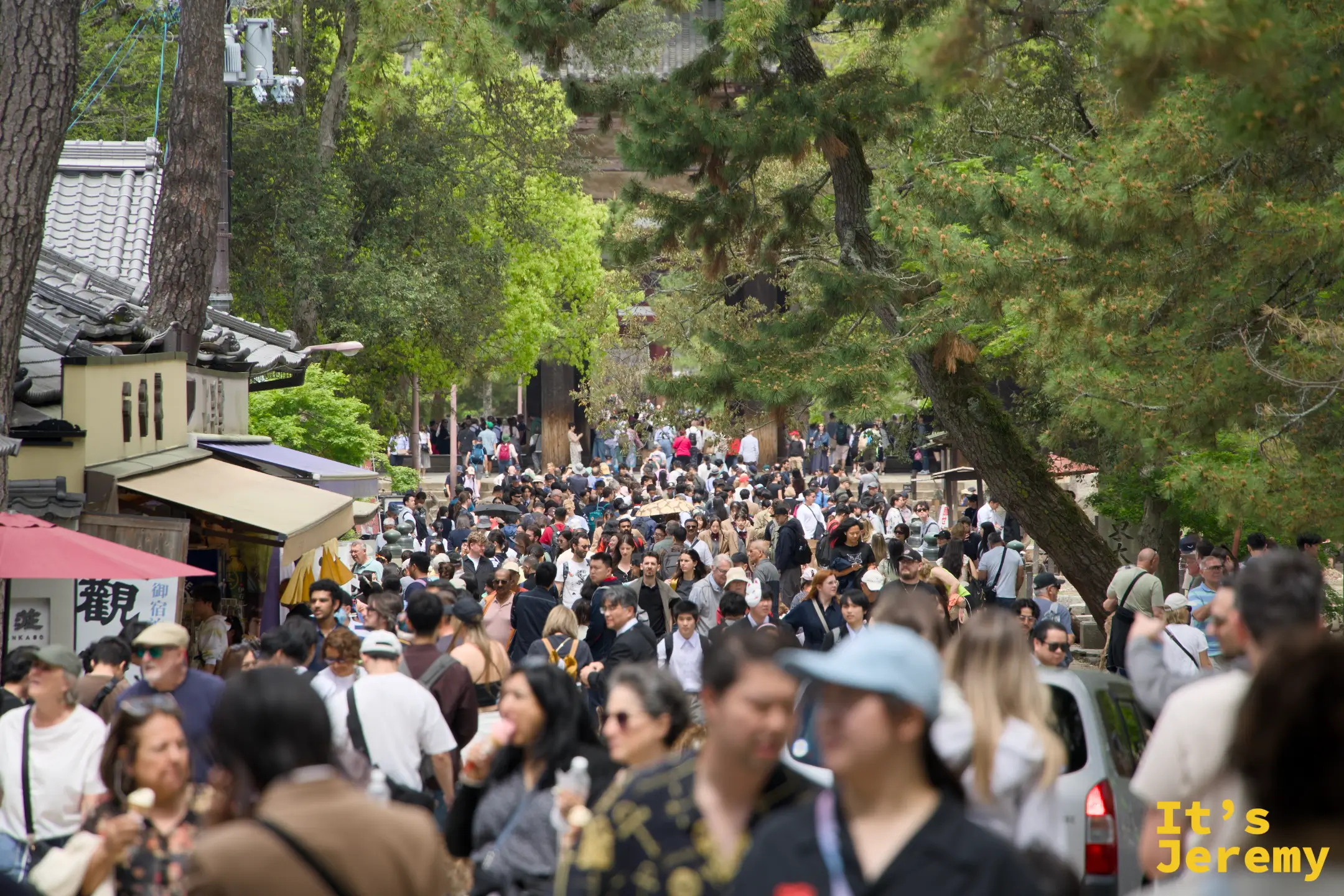 通往東大寺的大道擠滿了各國遊客