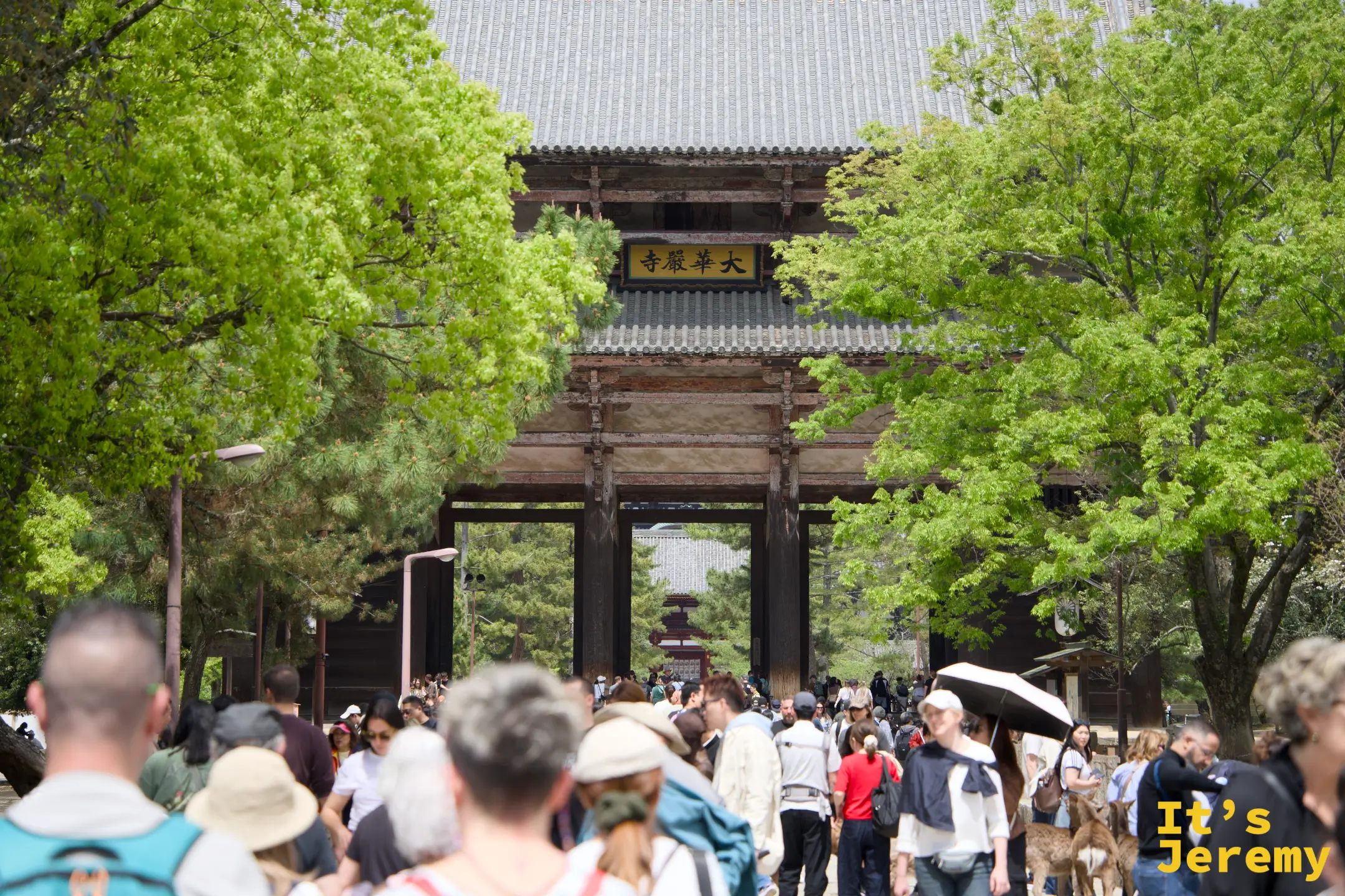 南大門遠拍，人群湧入