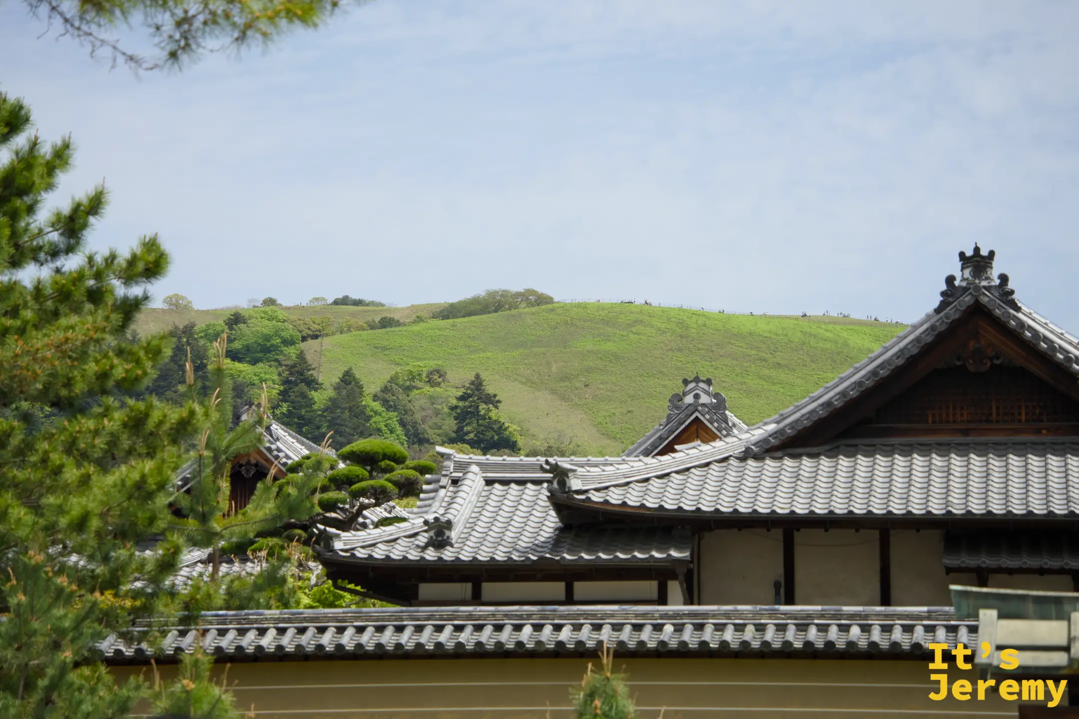 奈良屋頂群與若草山的遠景