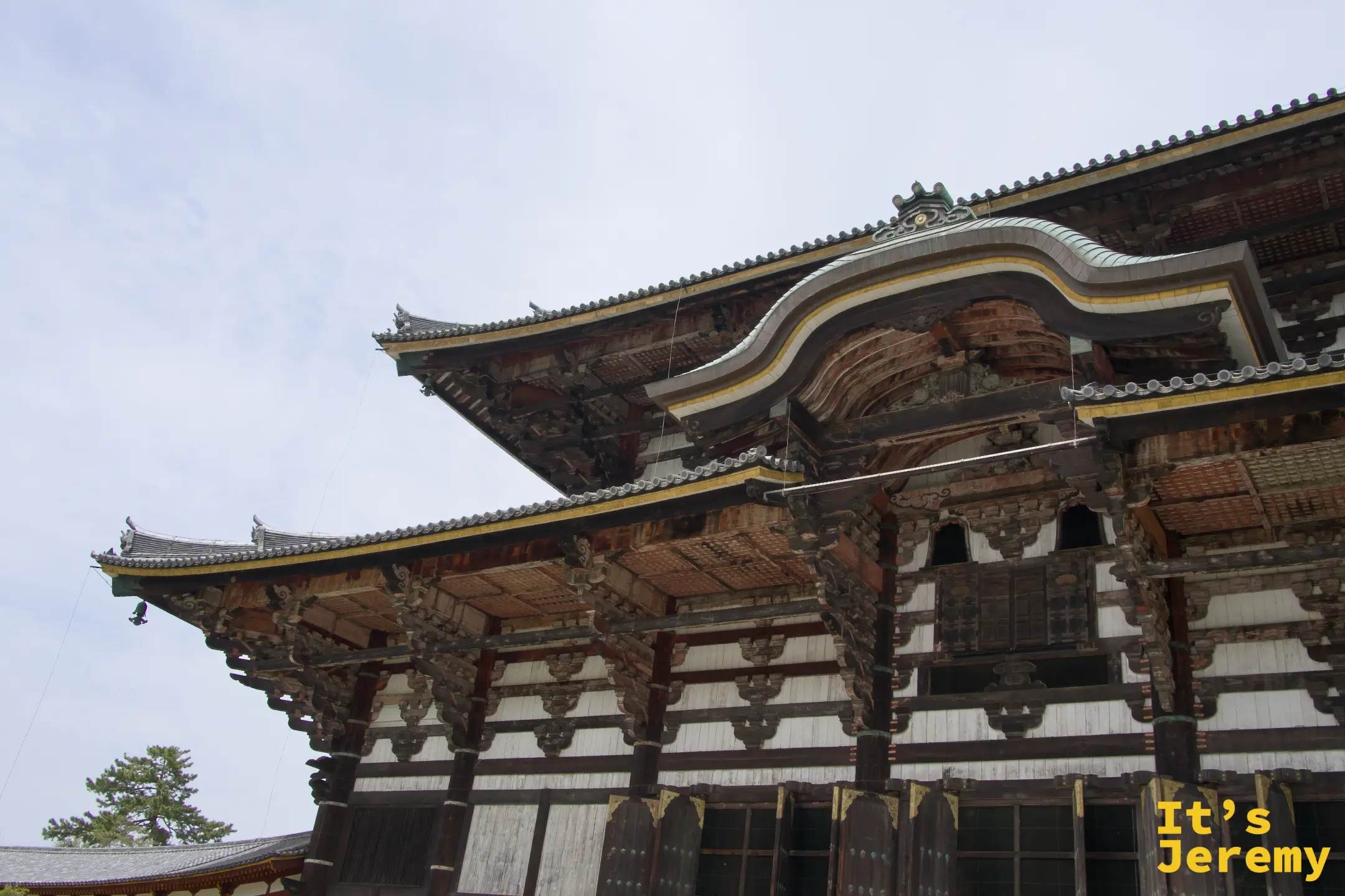 大仏殿屋頂與廊廡，仰角視點