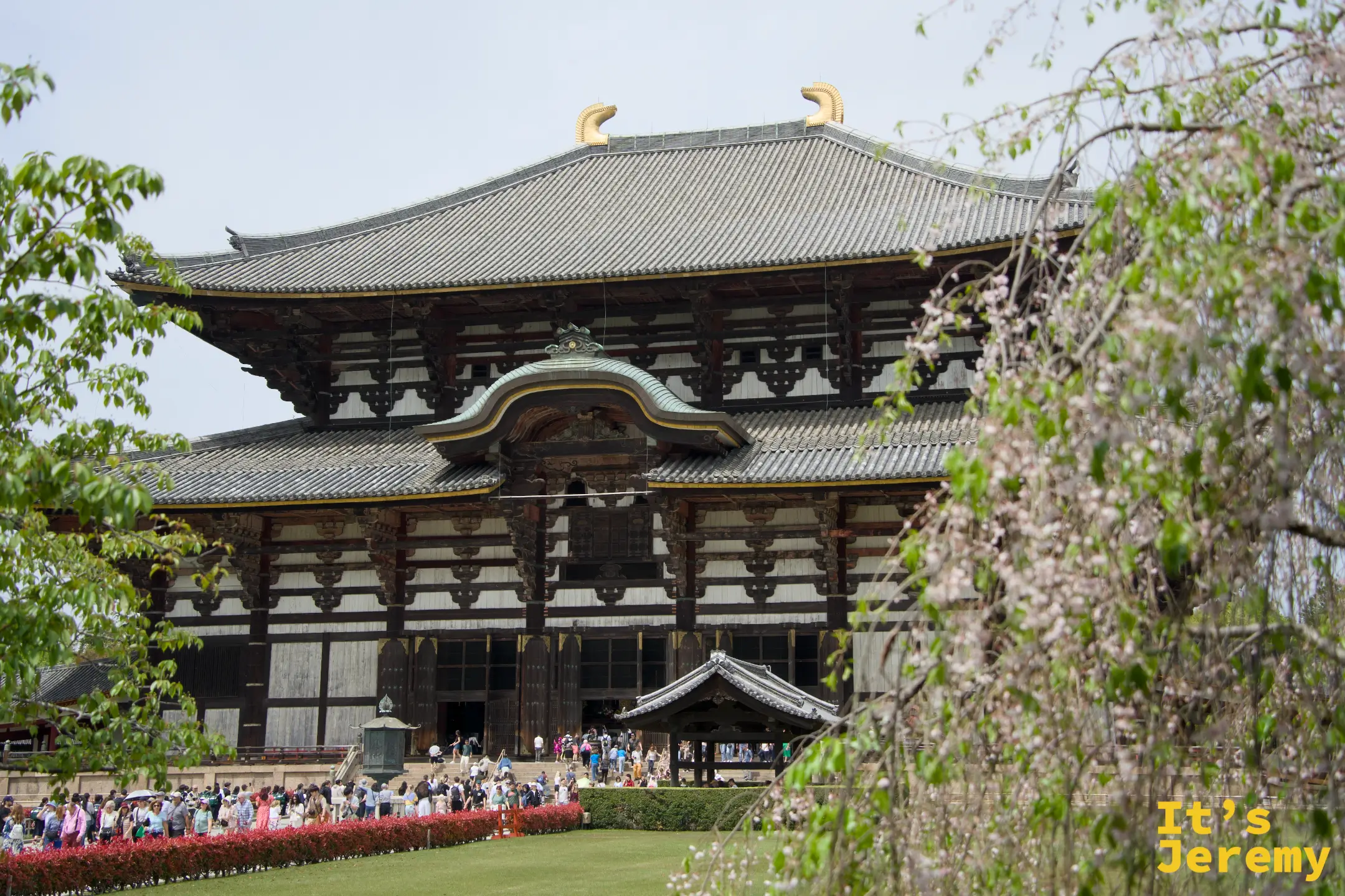 🇯🇵 奈良景點｜東大寺 Todai-ji 完整攻略：世界最大木造建築裡的 15 公尺大佛
