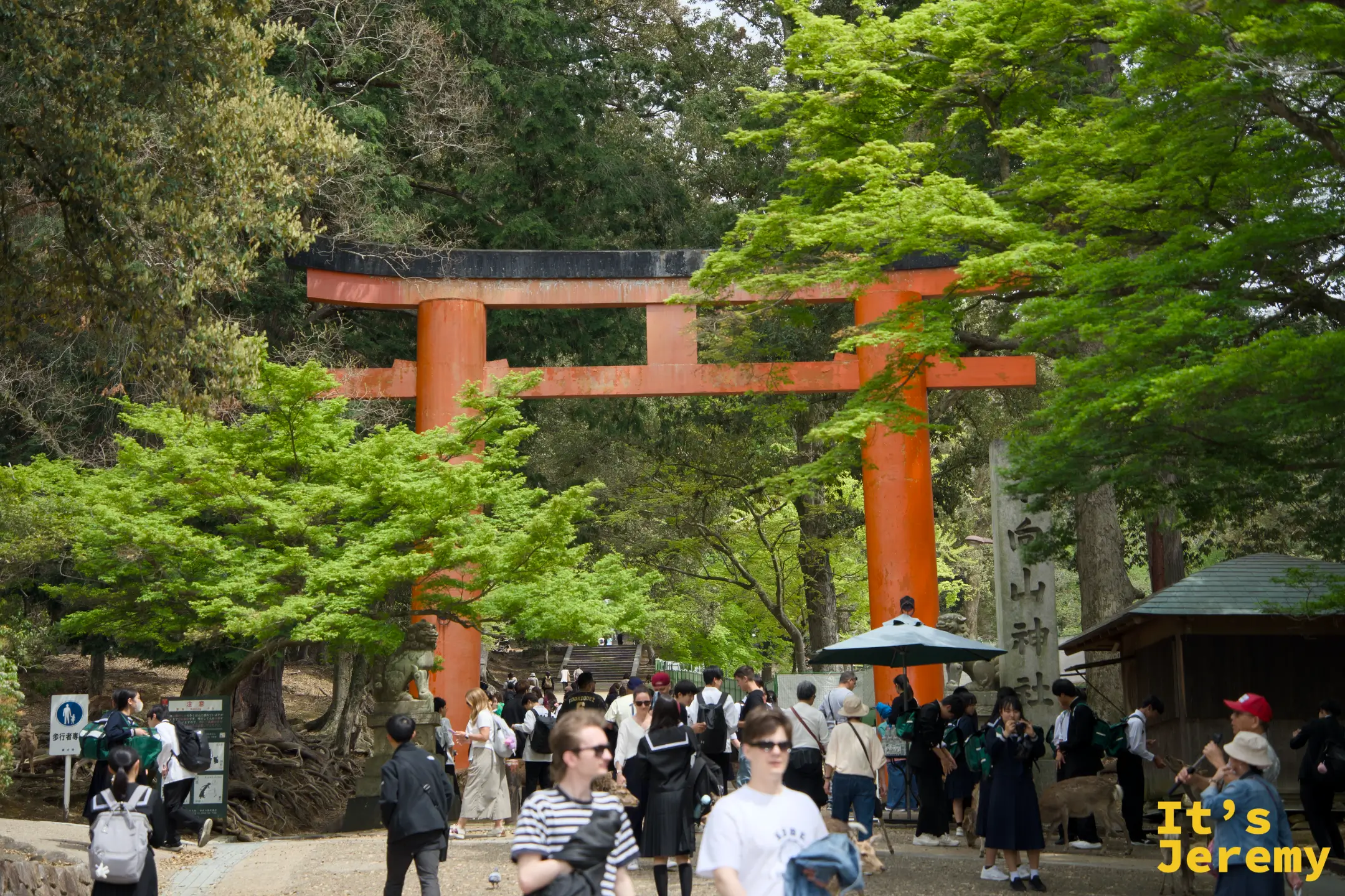 春日大社方向的朱紅鳥居，遊客川流不息