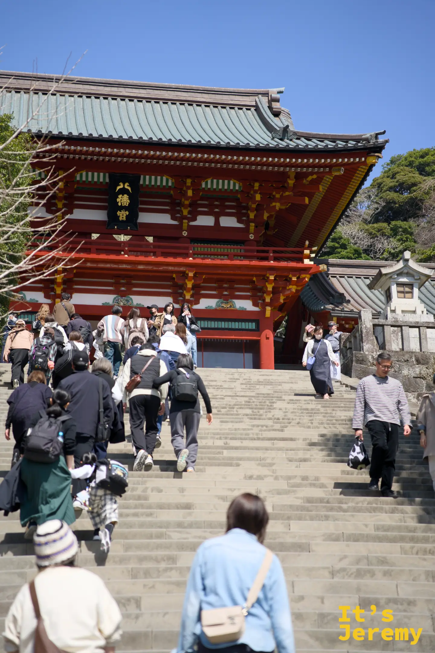 🇯🇵 鎌倉景點｜鶴岡八幡宮 Tsurugaoka Hachimangu 完整攻略：大石段、樓門與境內櫻花全紀錄