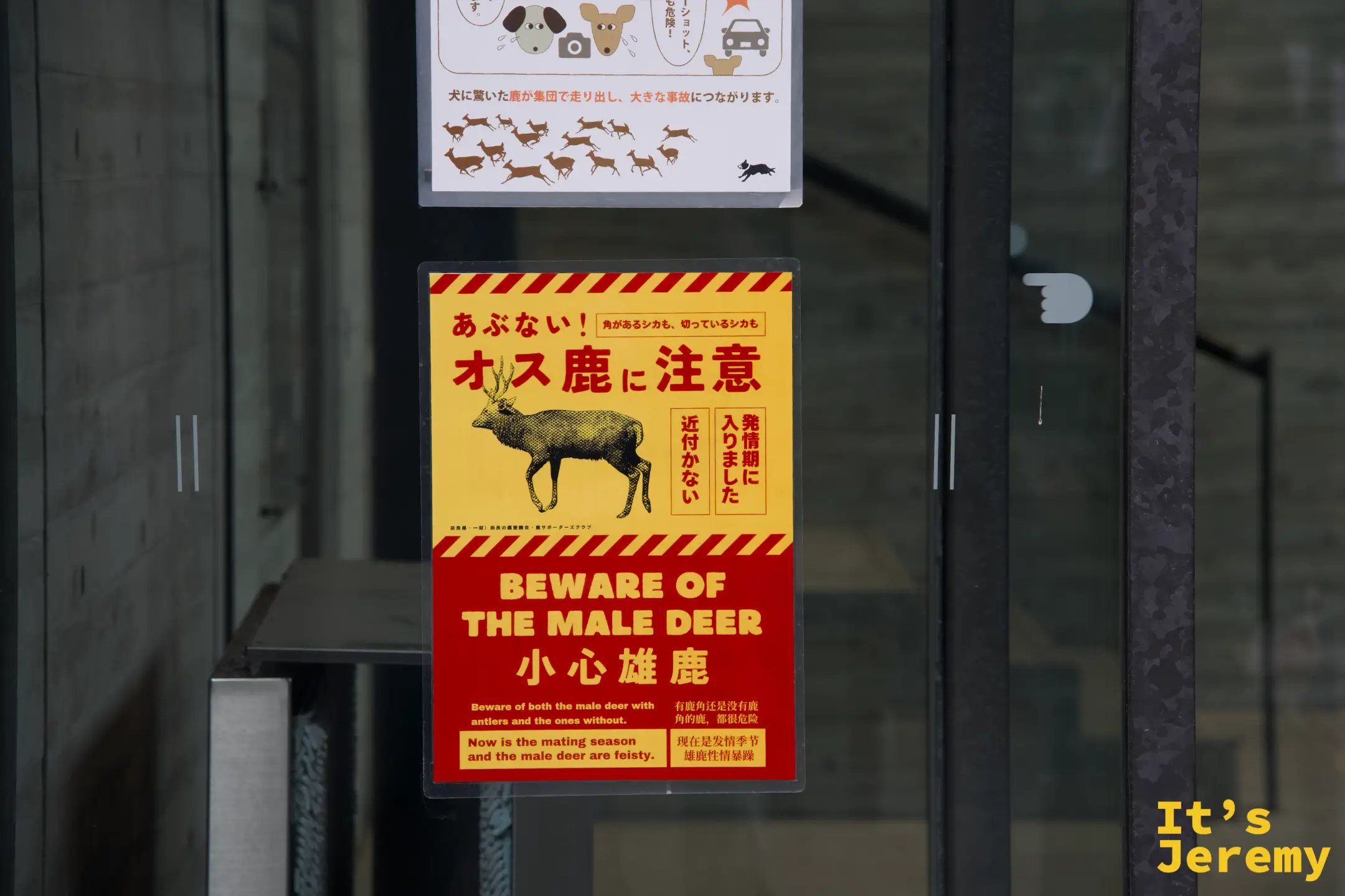 「BEWARE OF THE MALE DEER」發情期公鹿警告牌