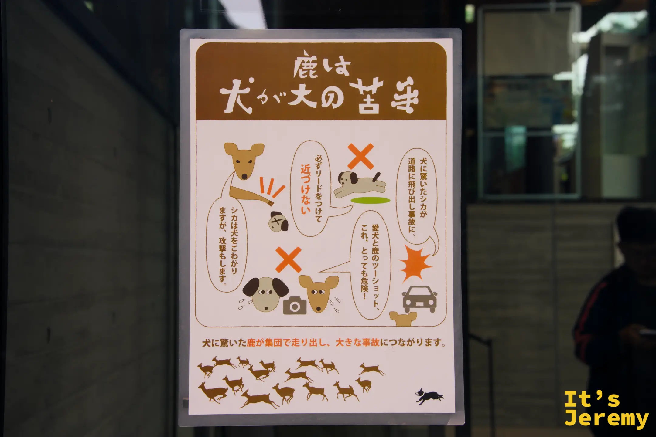 「鹿は犬が大の苦手」鹿見到狗會恐慌的警告