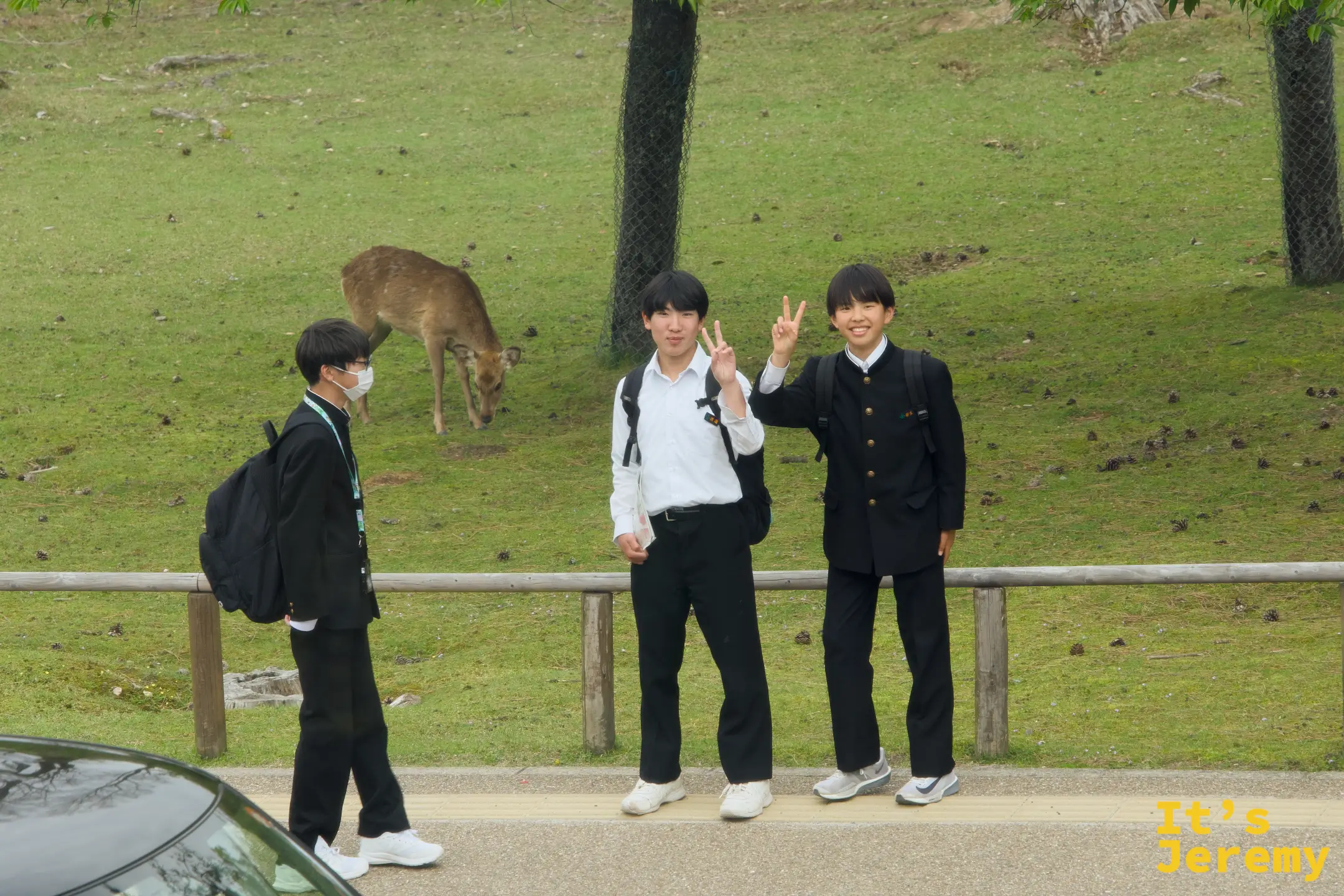 穿制服的學生在公園路旁比 V 拍照，身後草地上有鹿低頭覓食