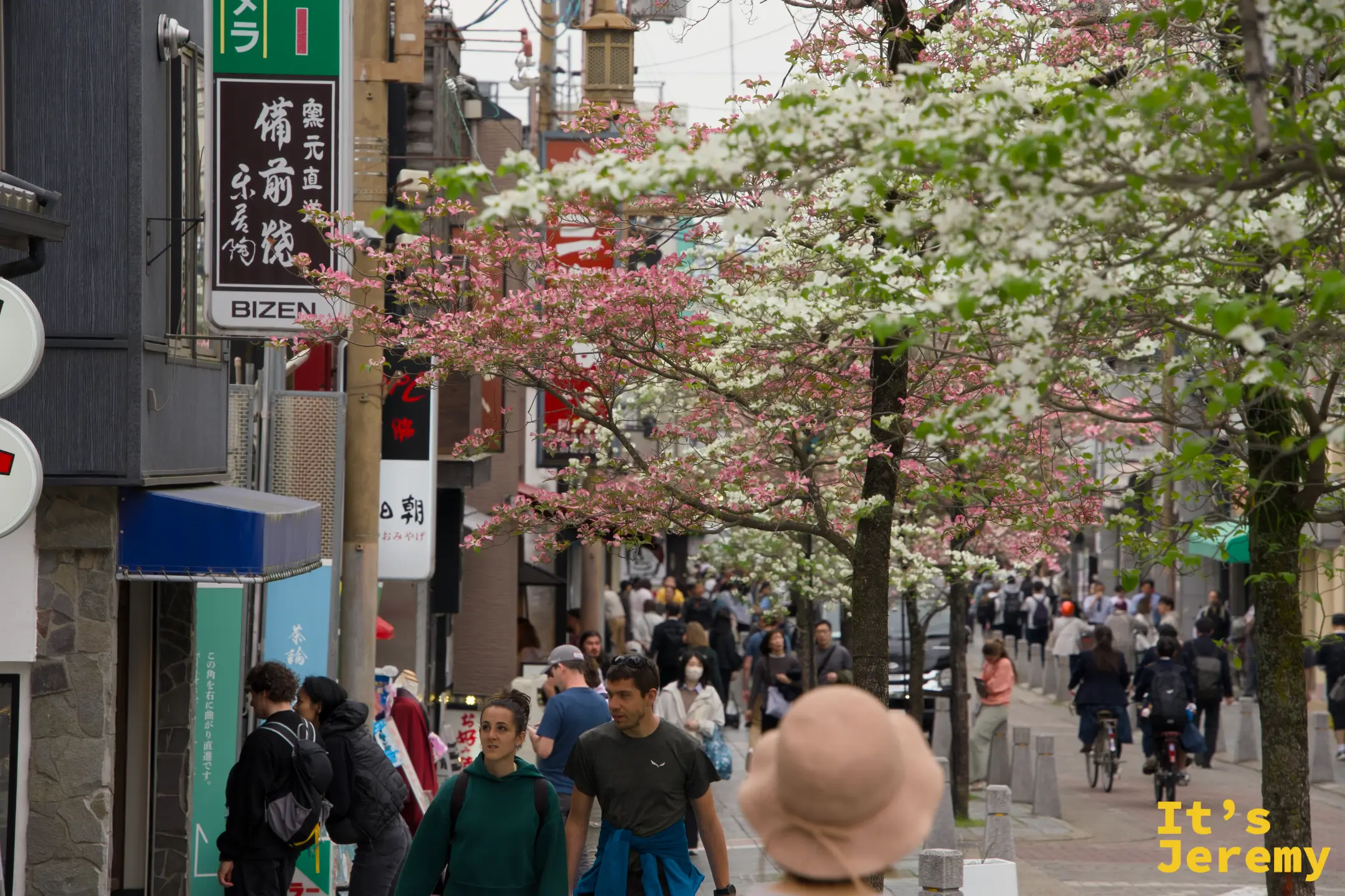 近鐵奈良站前商店街，夕陽前的晚開花卉