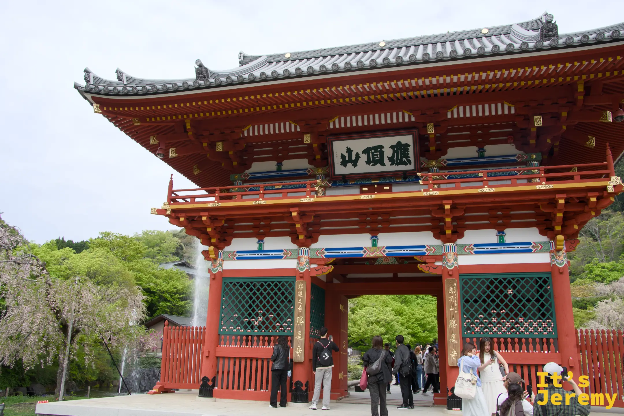 山門全景，左右兩側有枝垂櫻陪襯