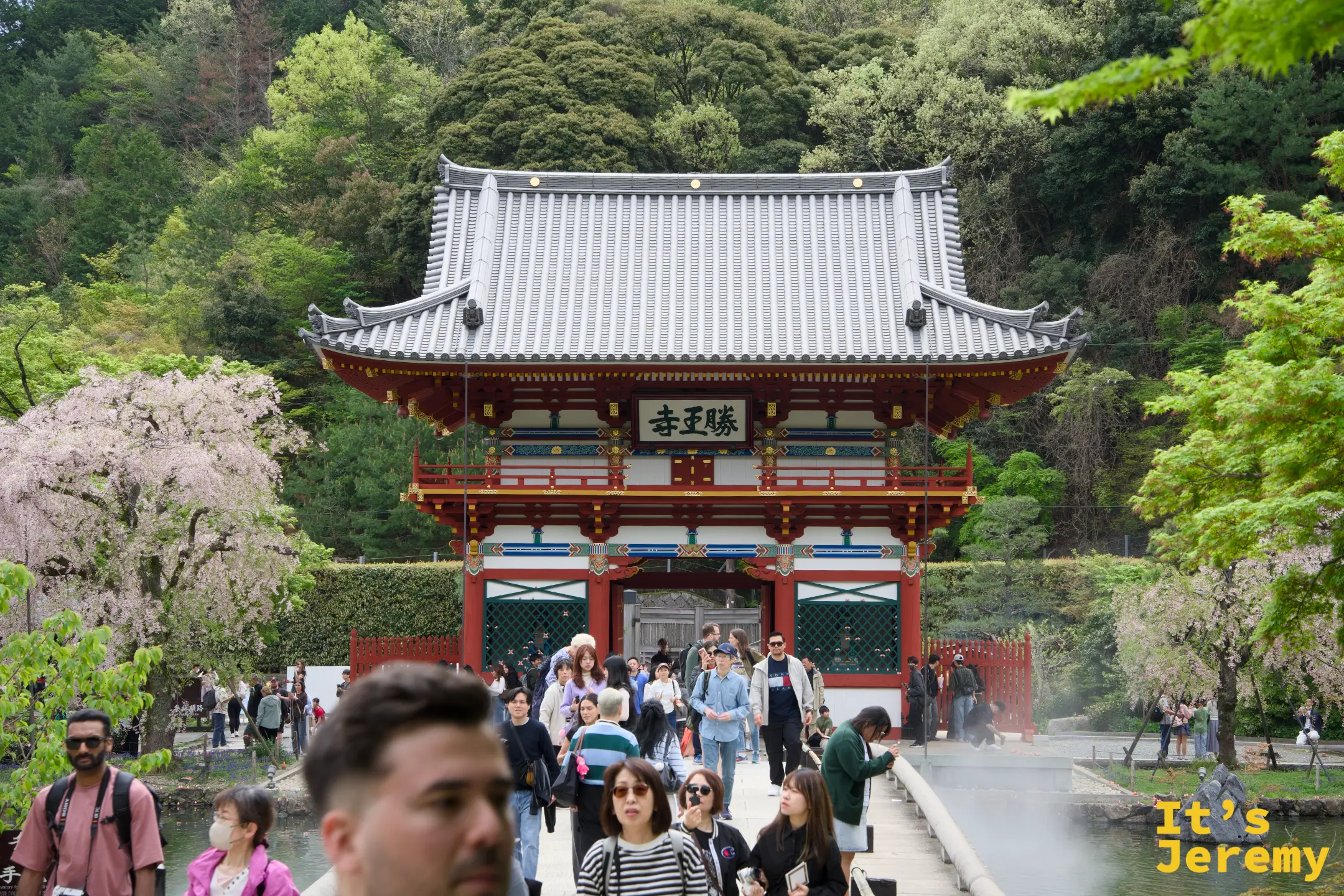 從內側回望山門，遊客穿梭其中