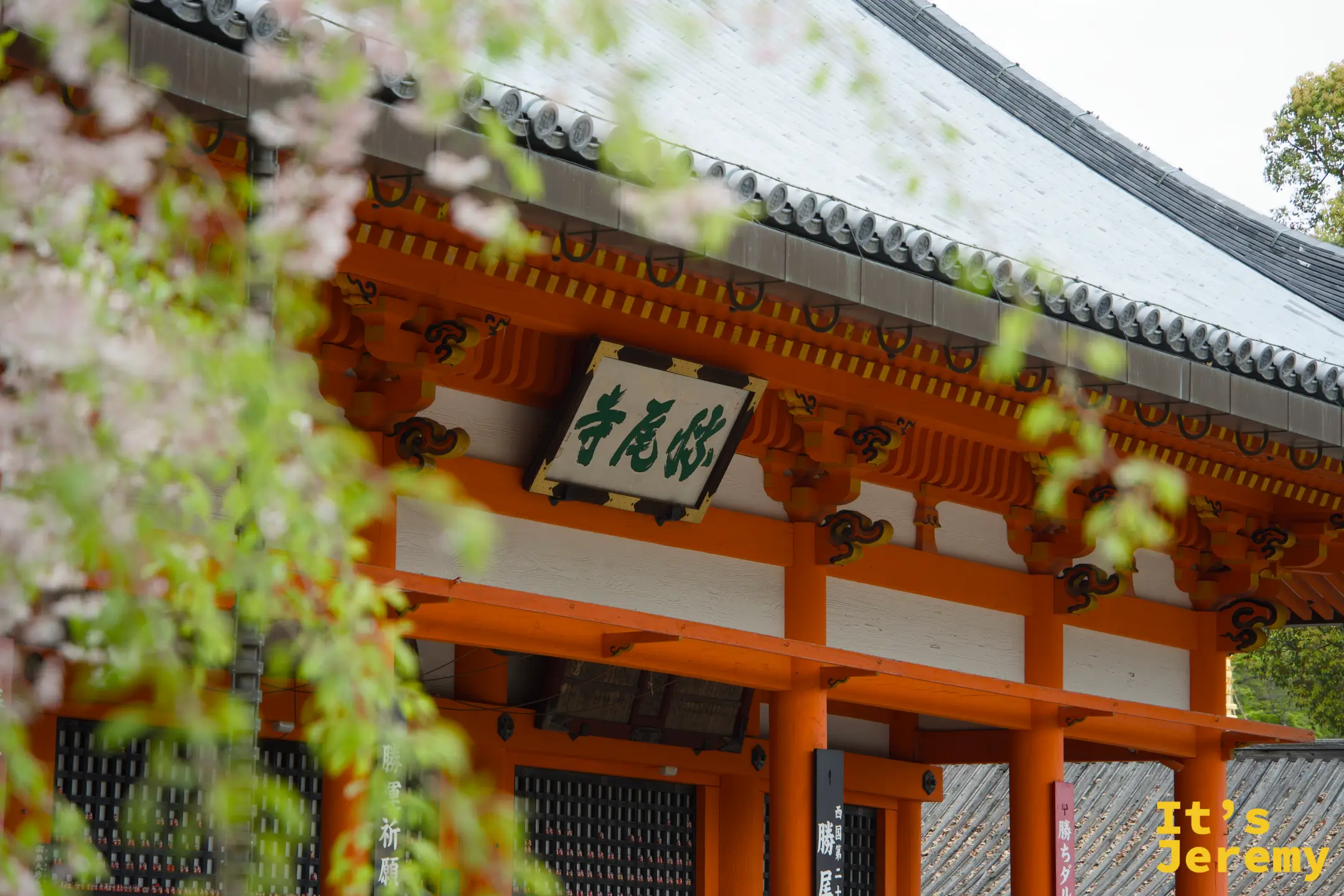 山門局部，前景是剛萌發的春日新葉，屋頂線條勾勒在天空中