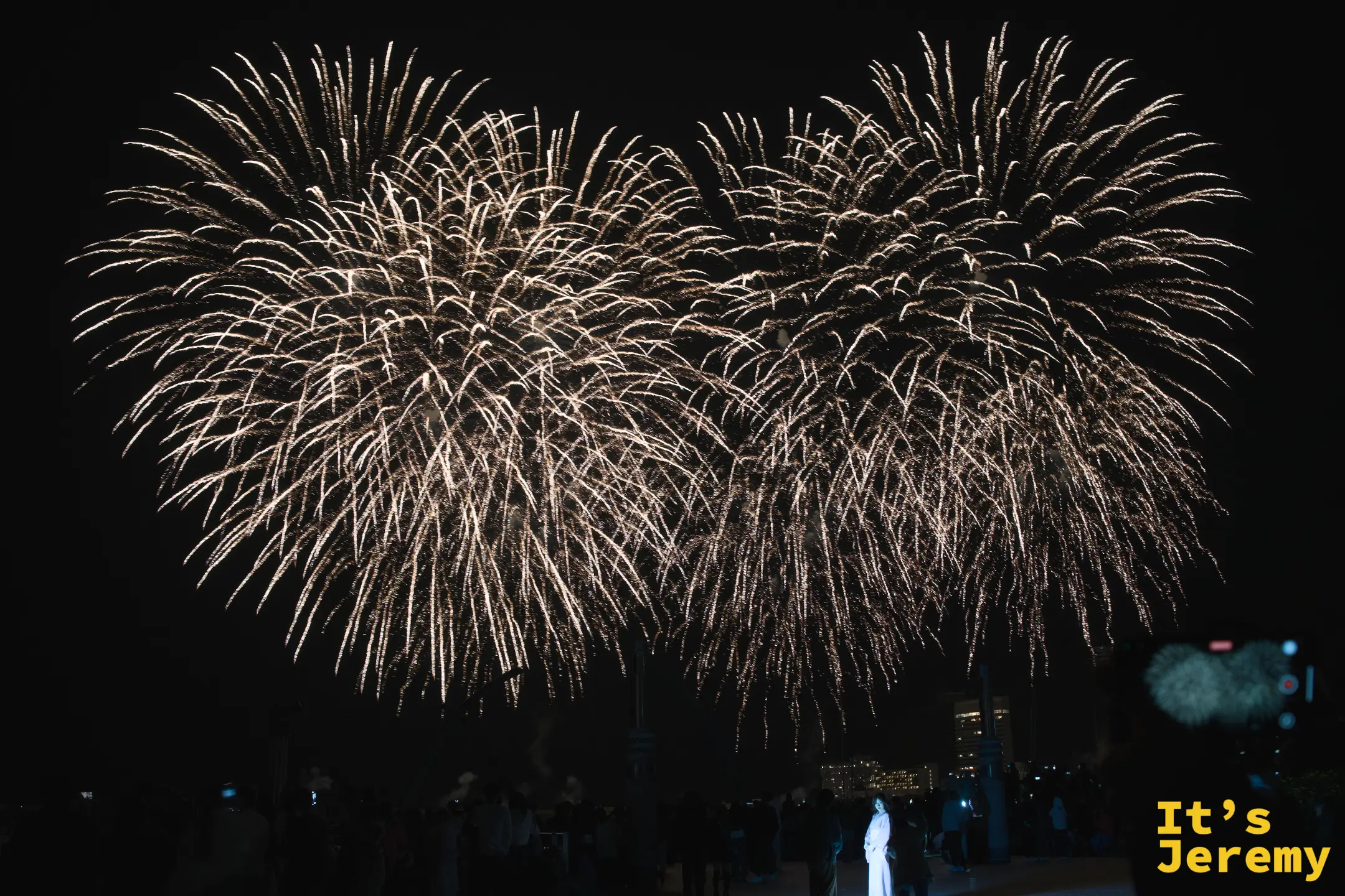 熱海海上花火大会煙火全景，金白色煙火在黑色夜空中連續綻放，沙灘上的人群仰頭觀看剪影清晰