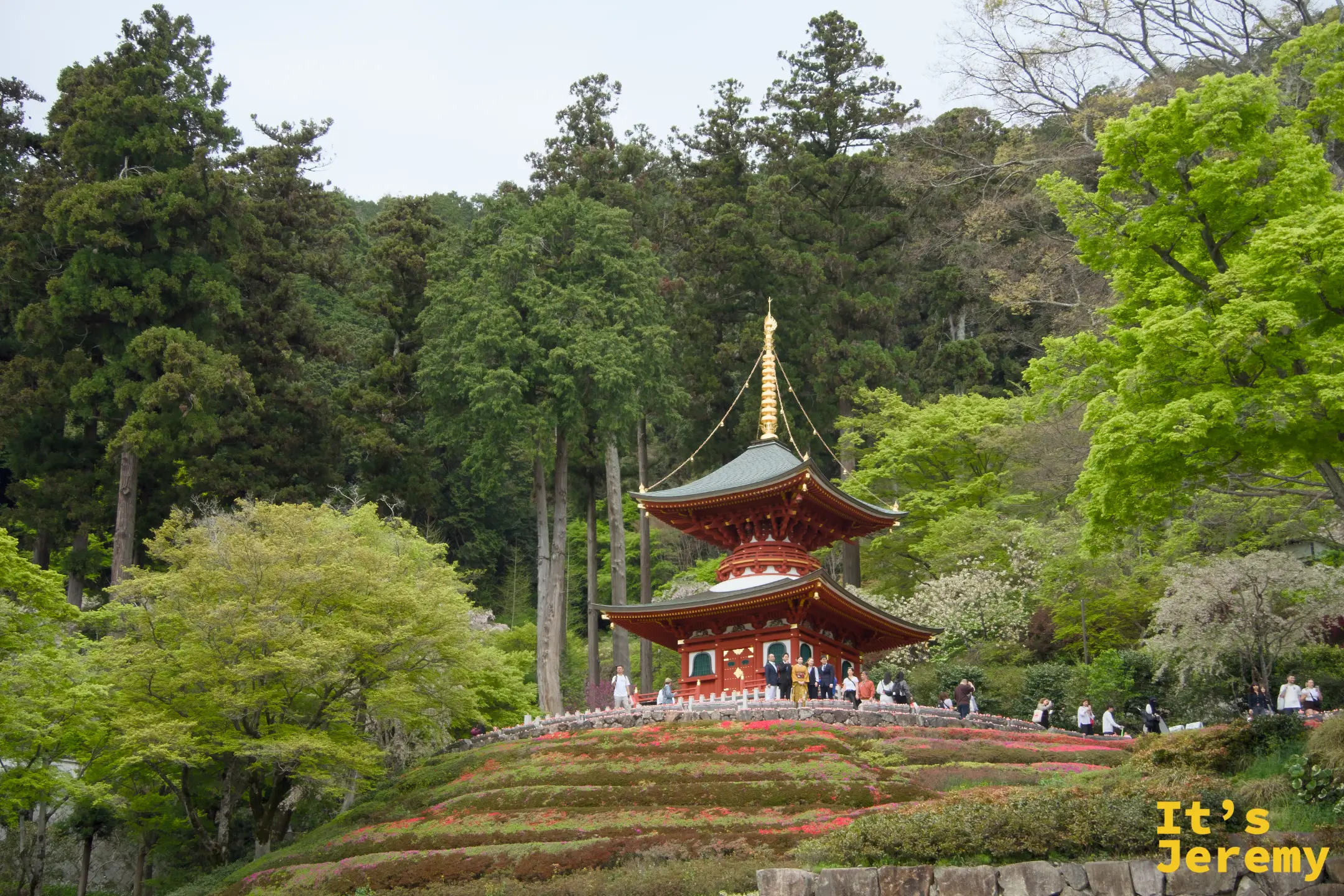 多寶塔與紅色杜鵑花海，春日色彩最飽滿的一景