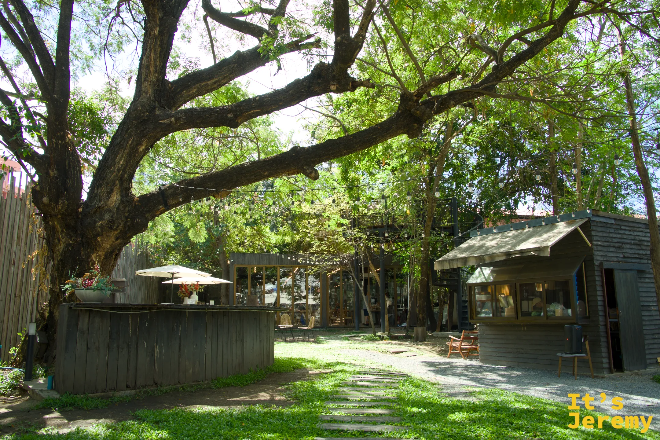 🇹🇭 曼谷美食｜The Wood Land：BTS On Nut 巷弄裡的綠意庭園早午餐，185 泰銖換到的在地慢早晨