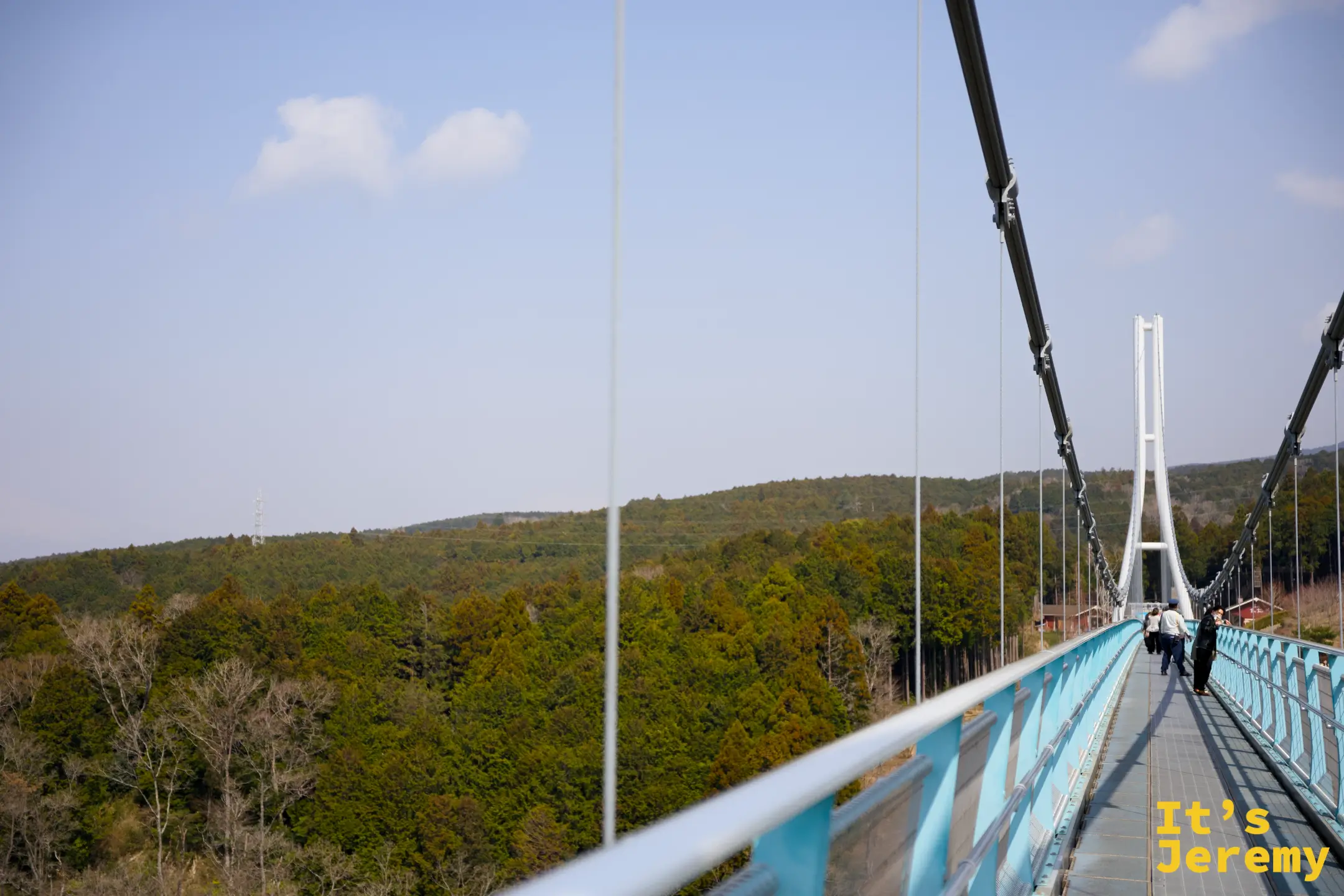 橋側方視角，水藍色欄杆延伸向遠端橋塔，右側山坡綠植清晰可見