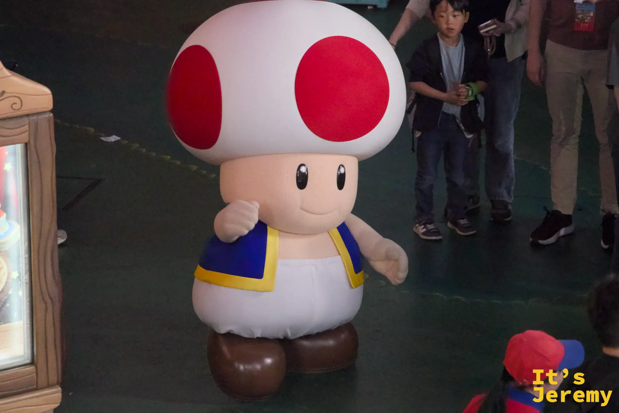Toad（奇諾比奧）真人角色，正在 SNW 內部與遊客互動，白底紅點的蘑菇帽格外顯眼