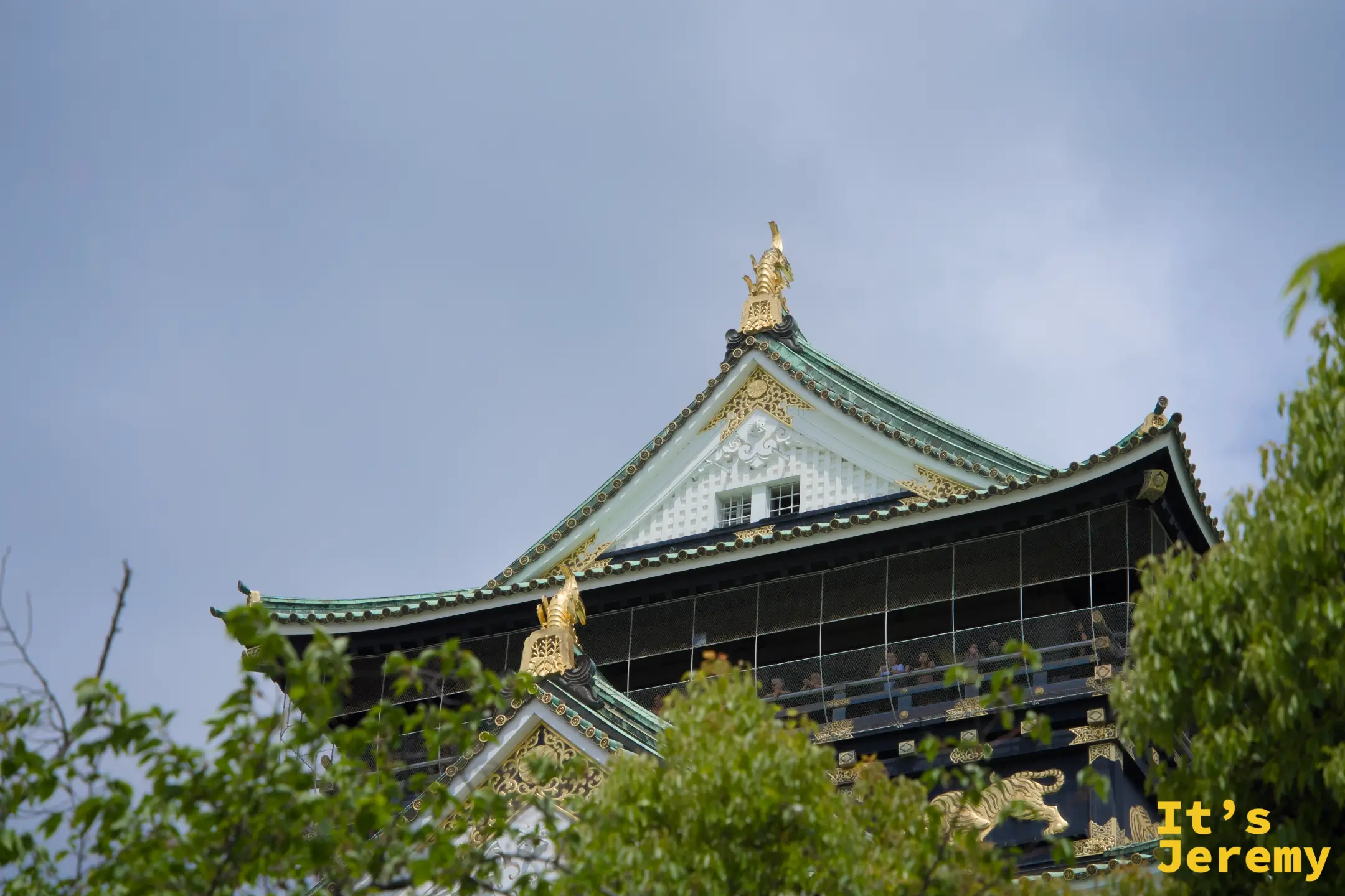 大阪城天守閣從公園樹叢間望去，白牆翠頂配上金色裝飾